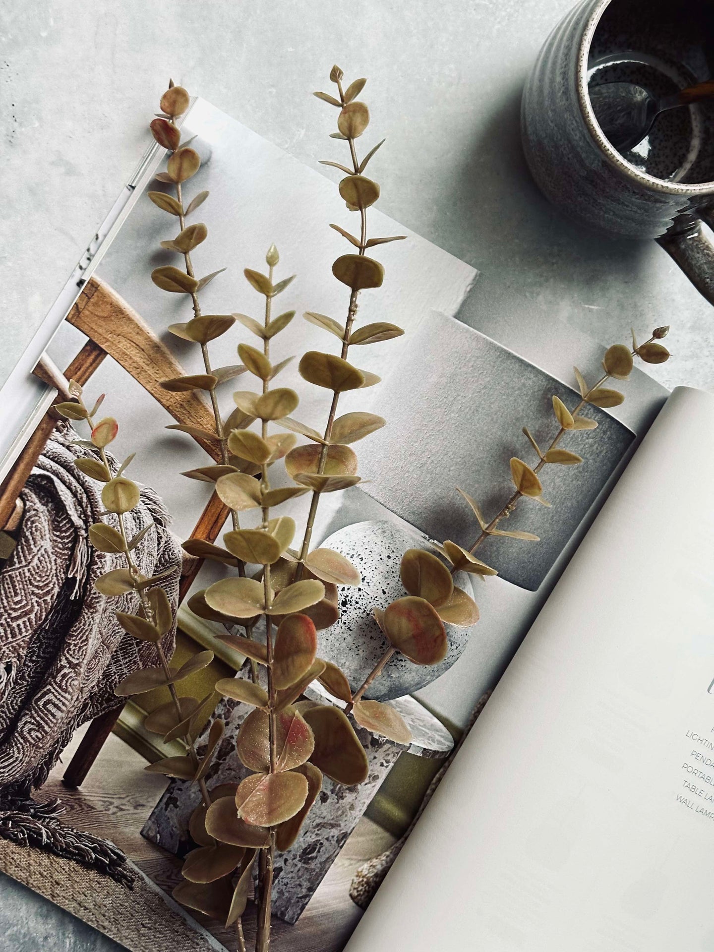 Blumen Eukalyptus – Golden
