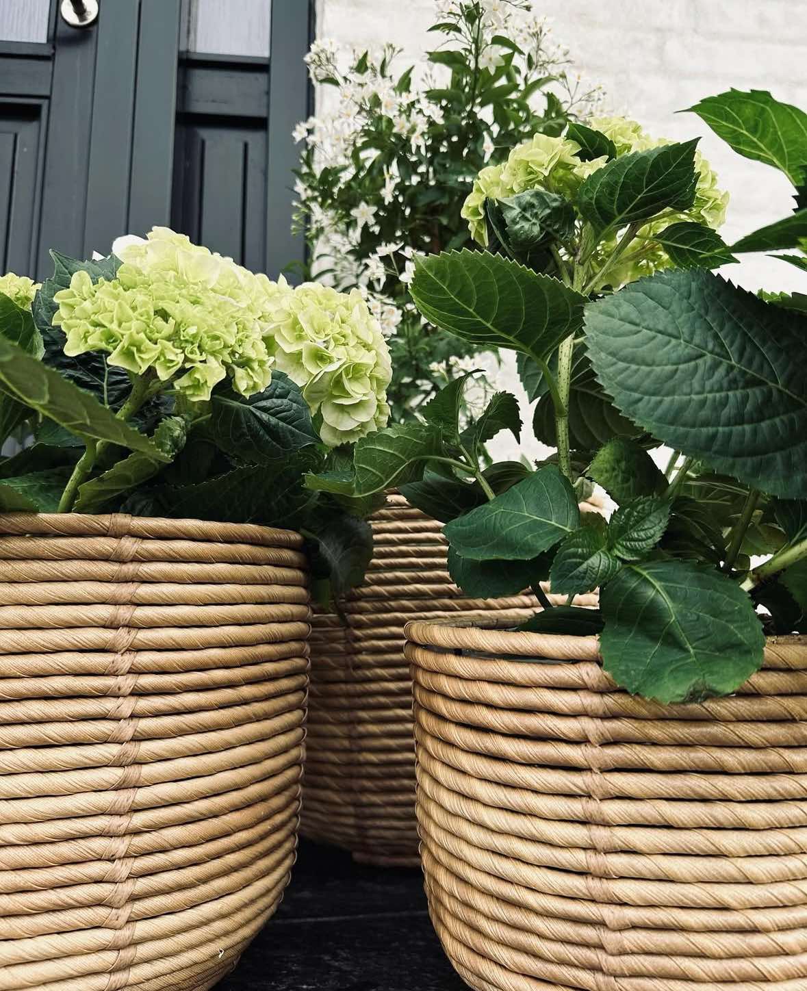 Pflanzenkörbe RATTAN – Set mit 3 Größen