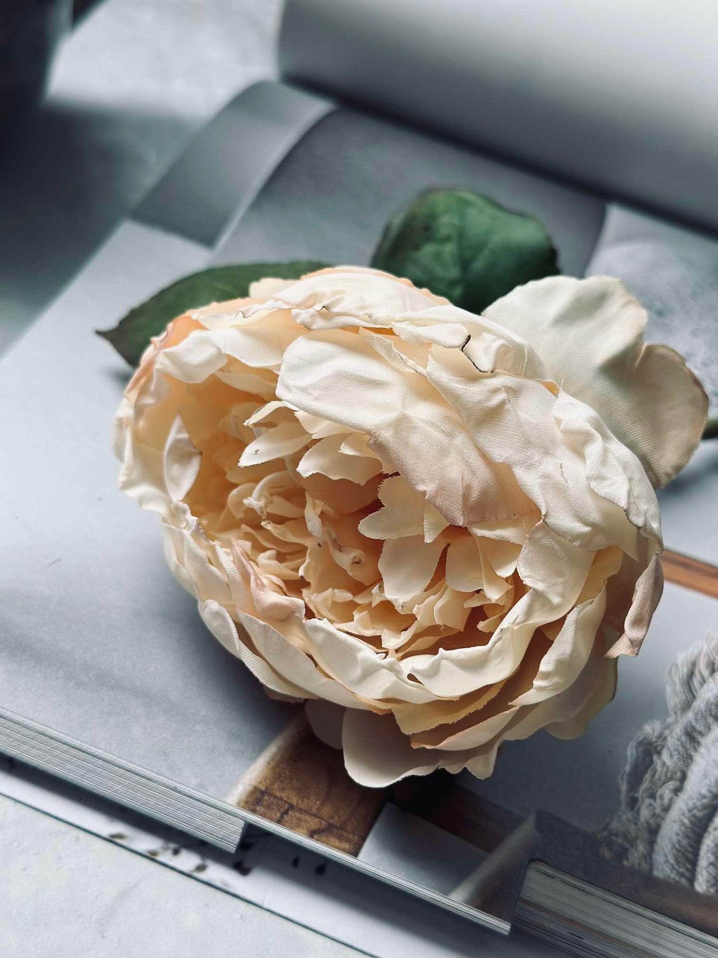 Blume Seide Pfingstrose Creme