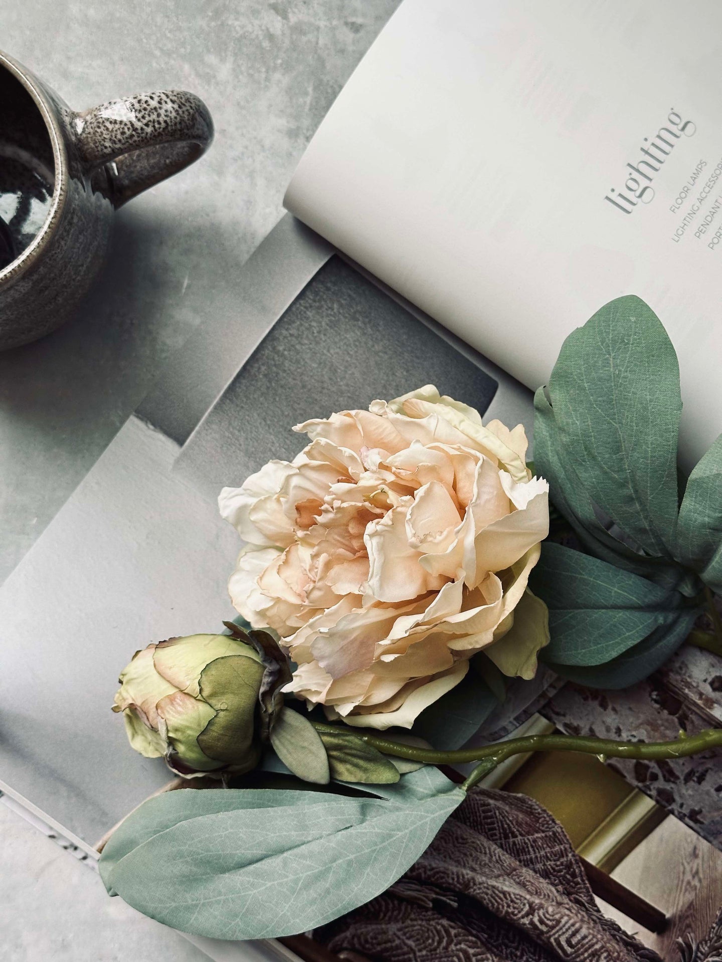 Blume Pfingstrose Creme