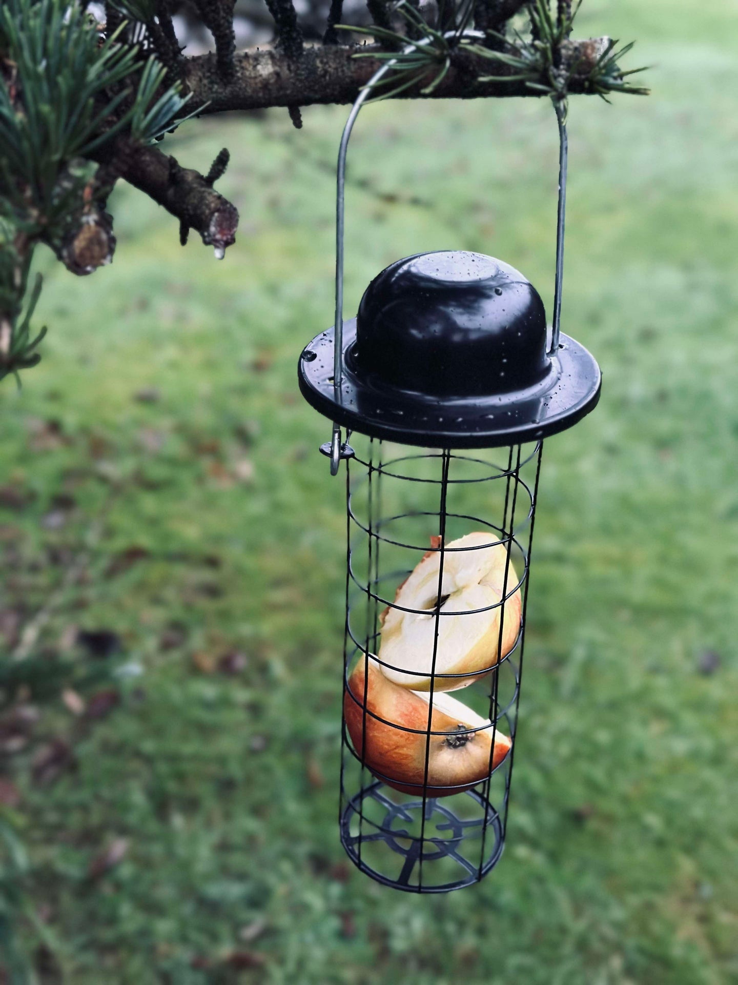 Vogelfutter-Aufhänger für Meisenknödel