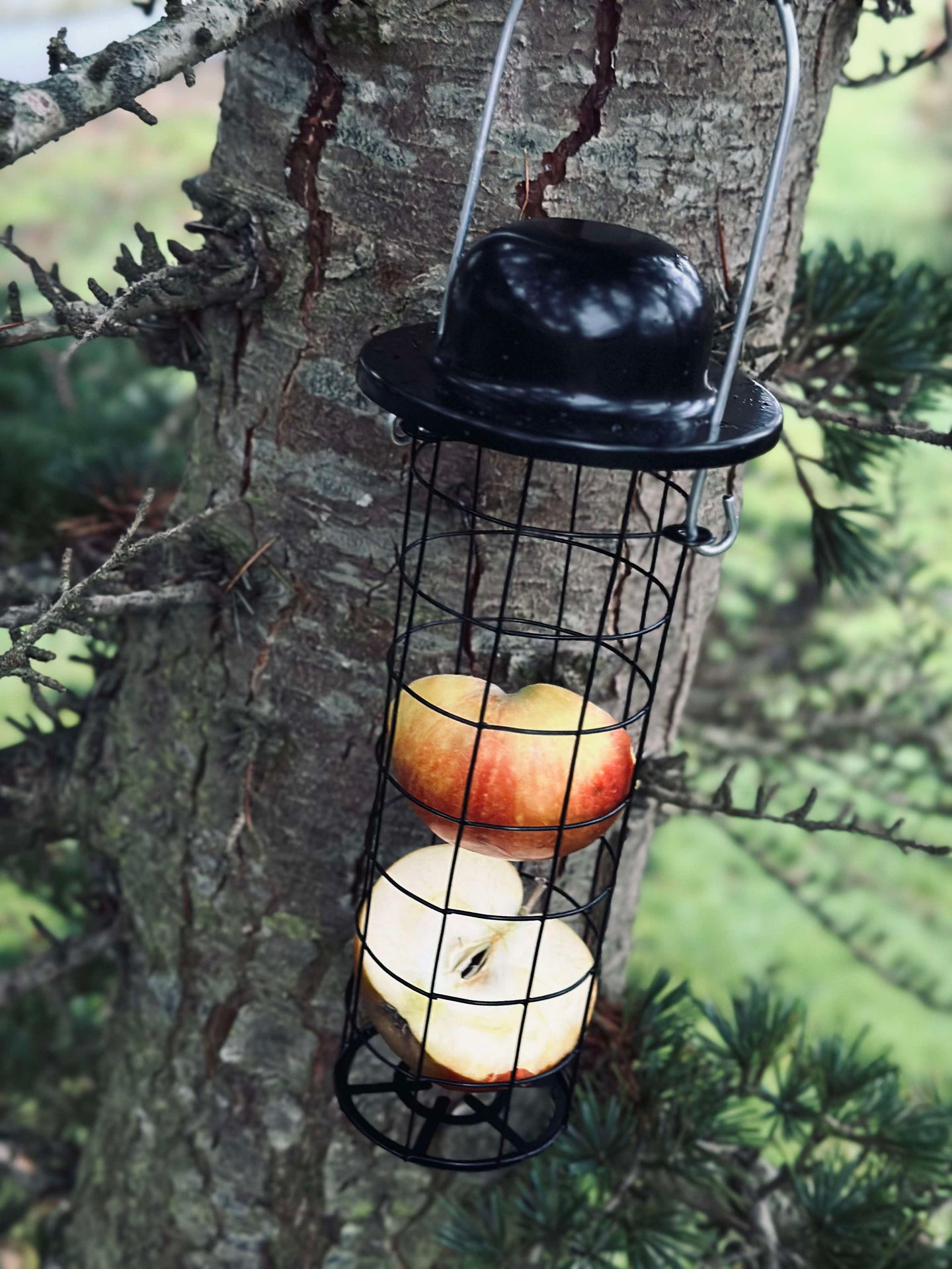 Vogelfutter-Aufhänger für Meisenknödel