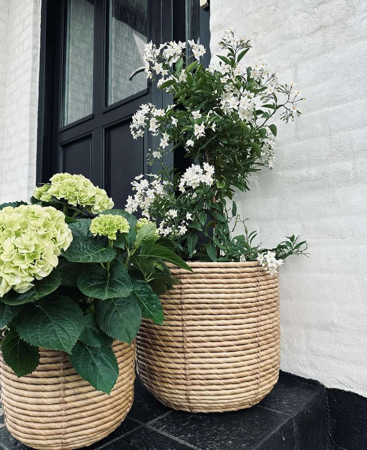 Pflanzenkörbe RATTAN – Set mit 3 Größen