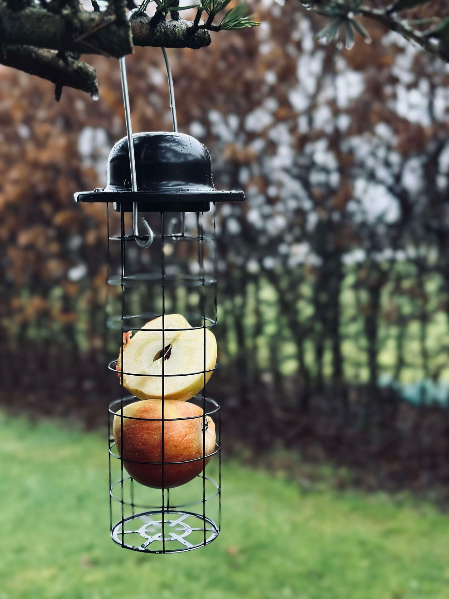 Vogelfutter-Aufhänger für Meisenknödel