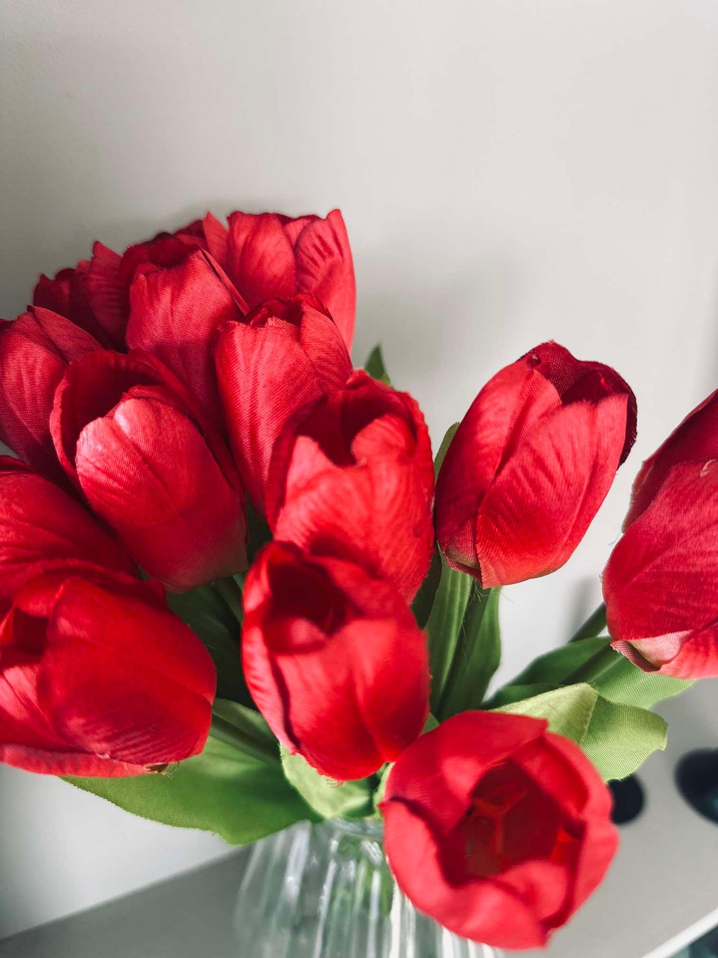 Tulpen Bordeaux