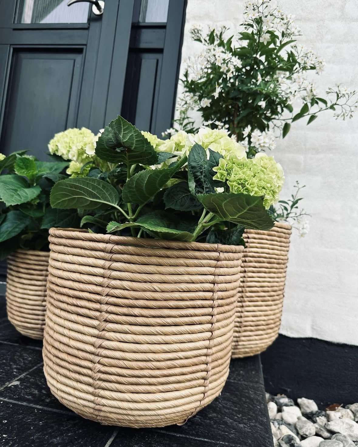 Pflanzenkörbe RATTAN – Set mit 3 Größen