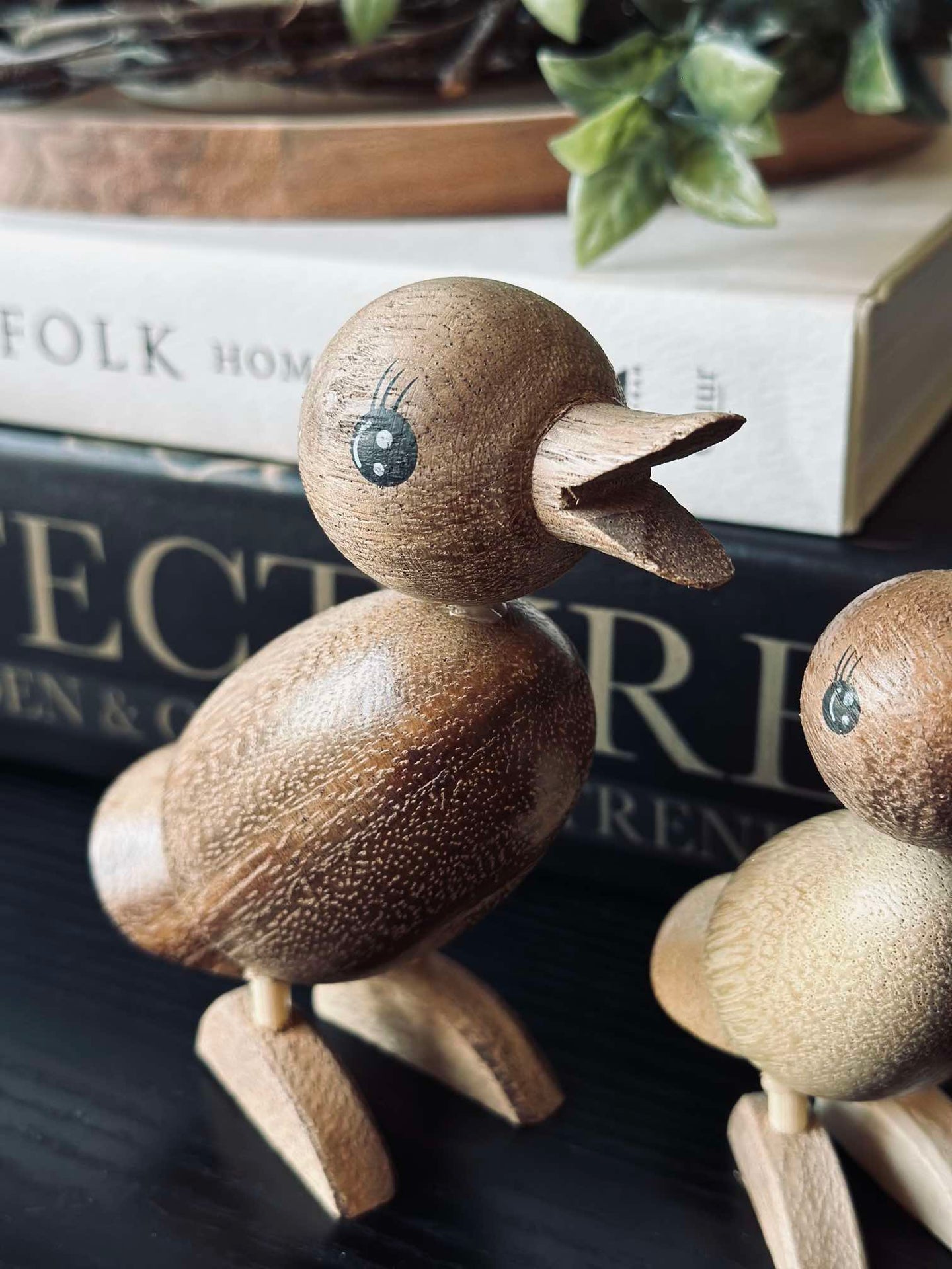 Ente Succitræ - Groß