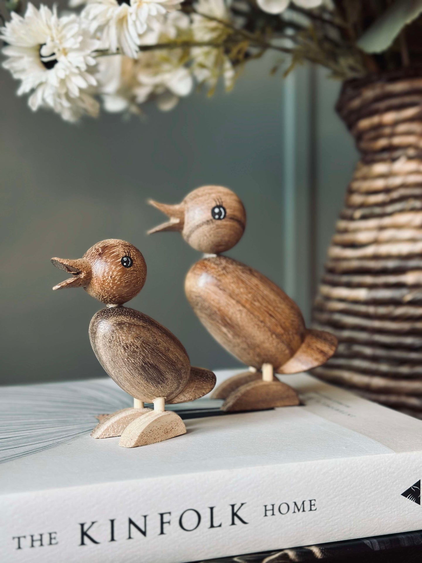 Ente Succitræ - Groß
