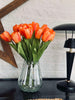 Tulpen Orange