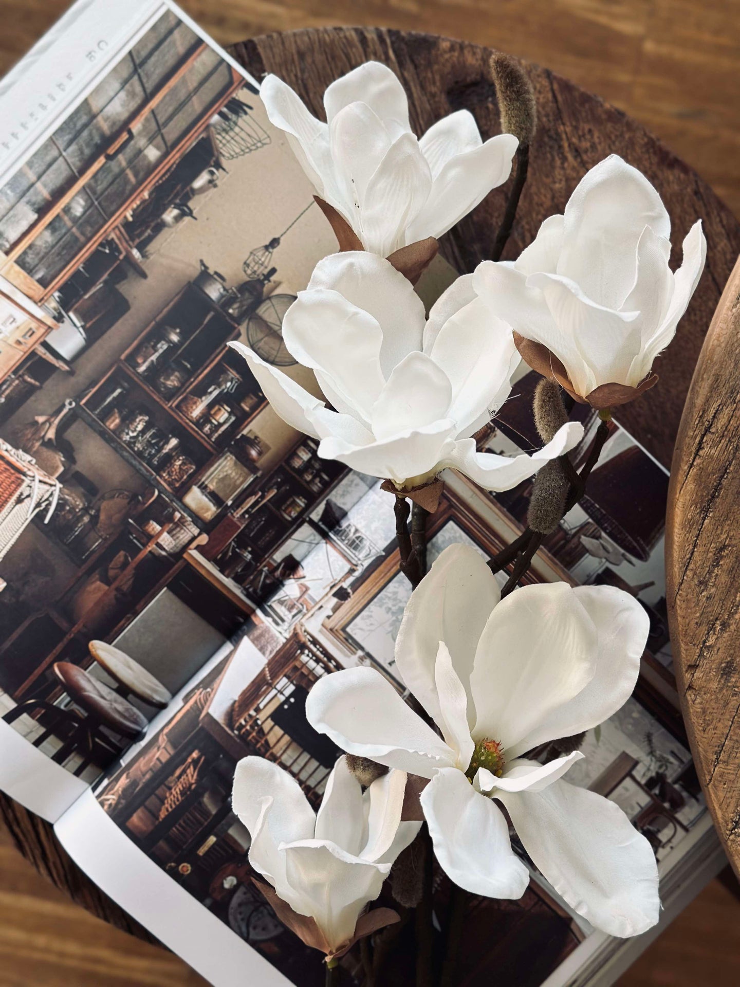 Magnolienzweig - 92 cm