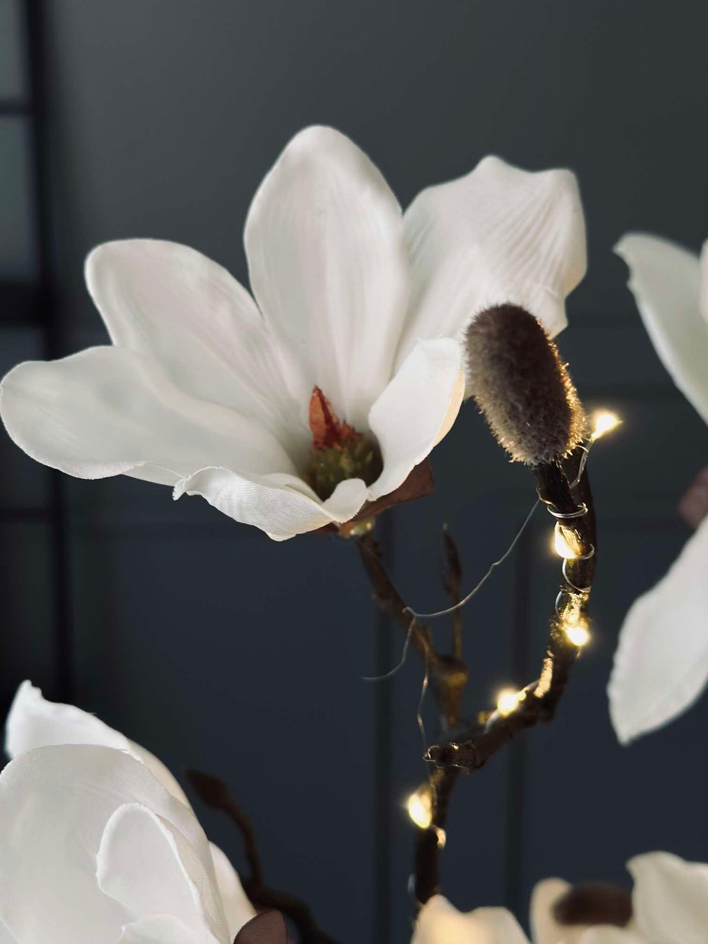 Magnolienzweig mit Licht