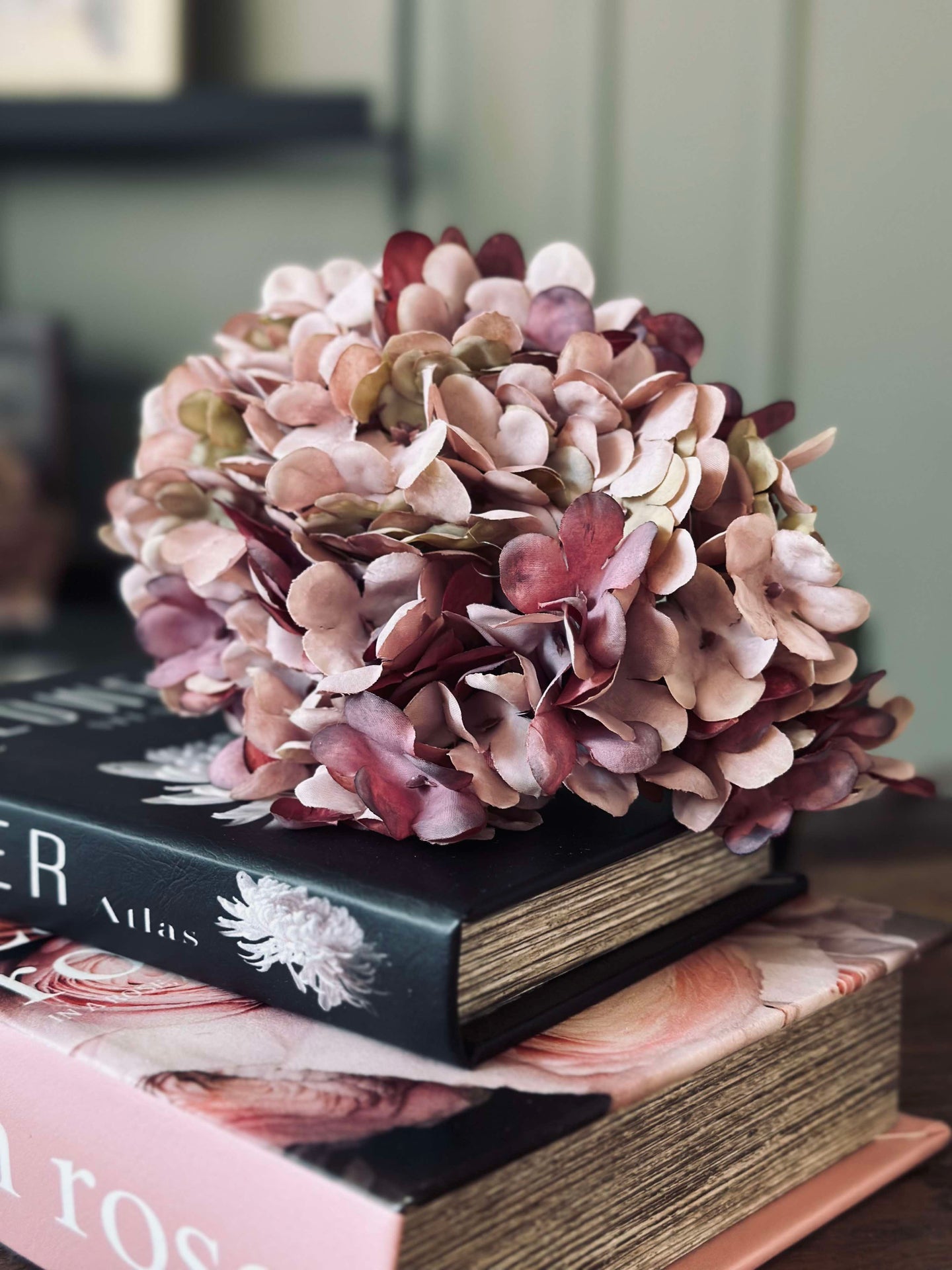 Hortensie Old Rose