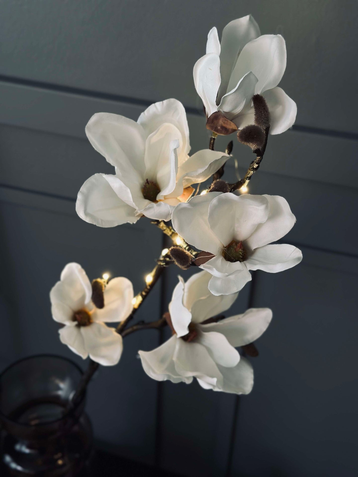 Magnolienzweig mit Licht
