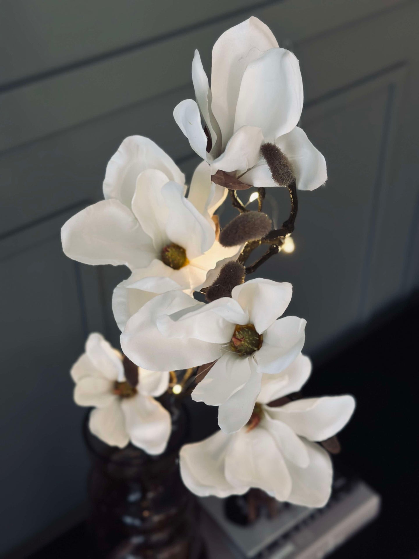 Magnolienzweig mit Licht