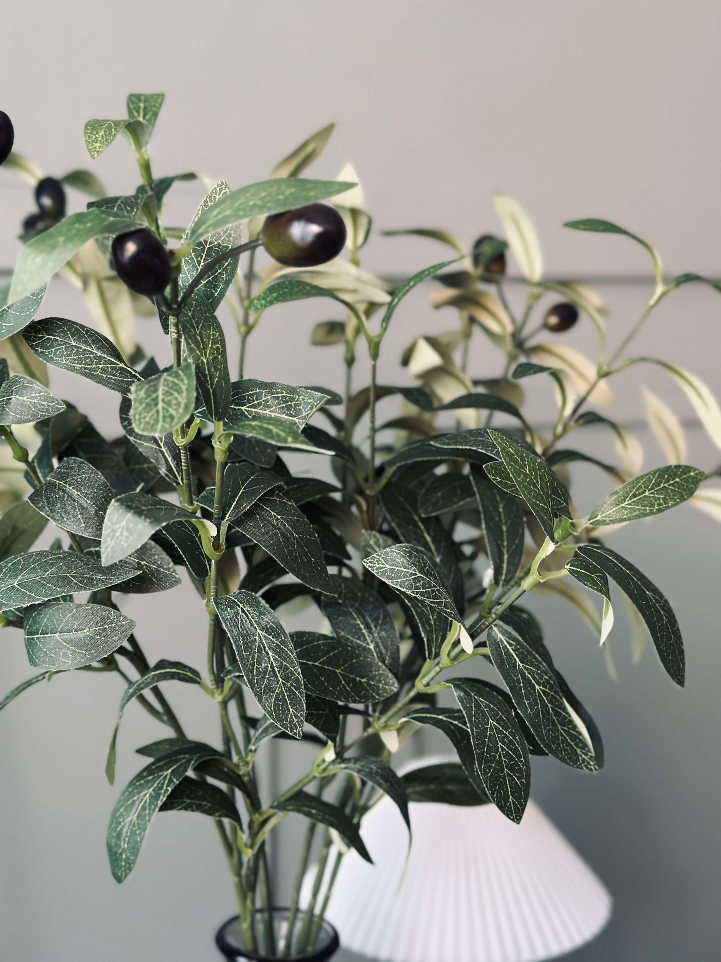 Olivenzweig 67 cm