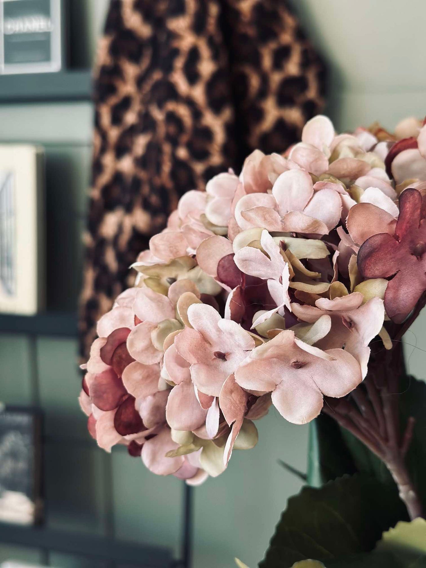 Hortensie Old Rose
