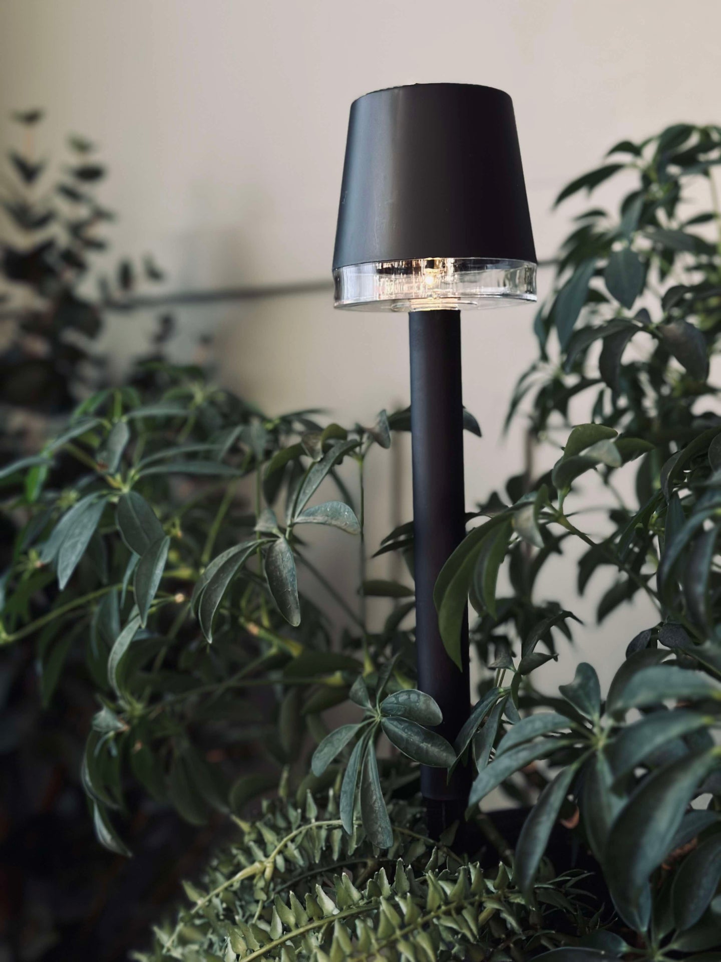 Beetlampe KIA solar