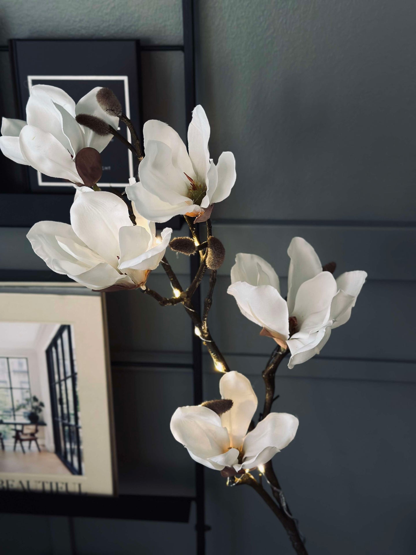 Magnolienzweig mit Licht