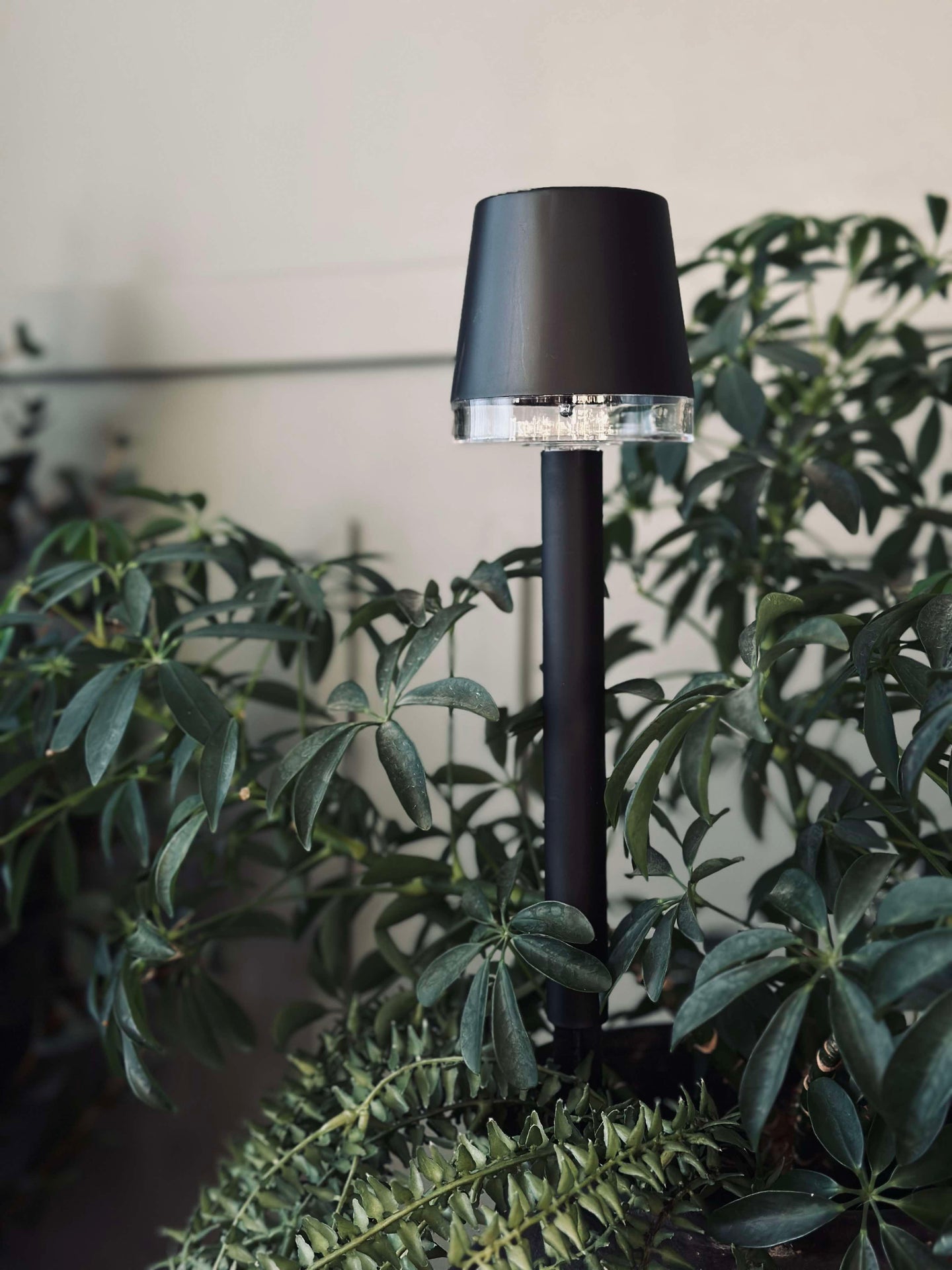 Beetlampe KIA solar