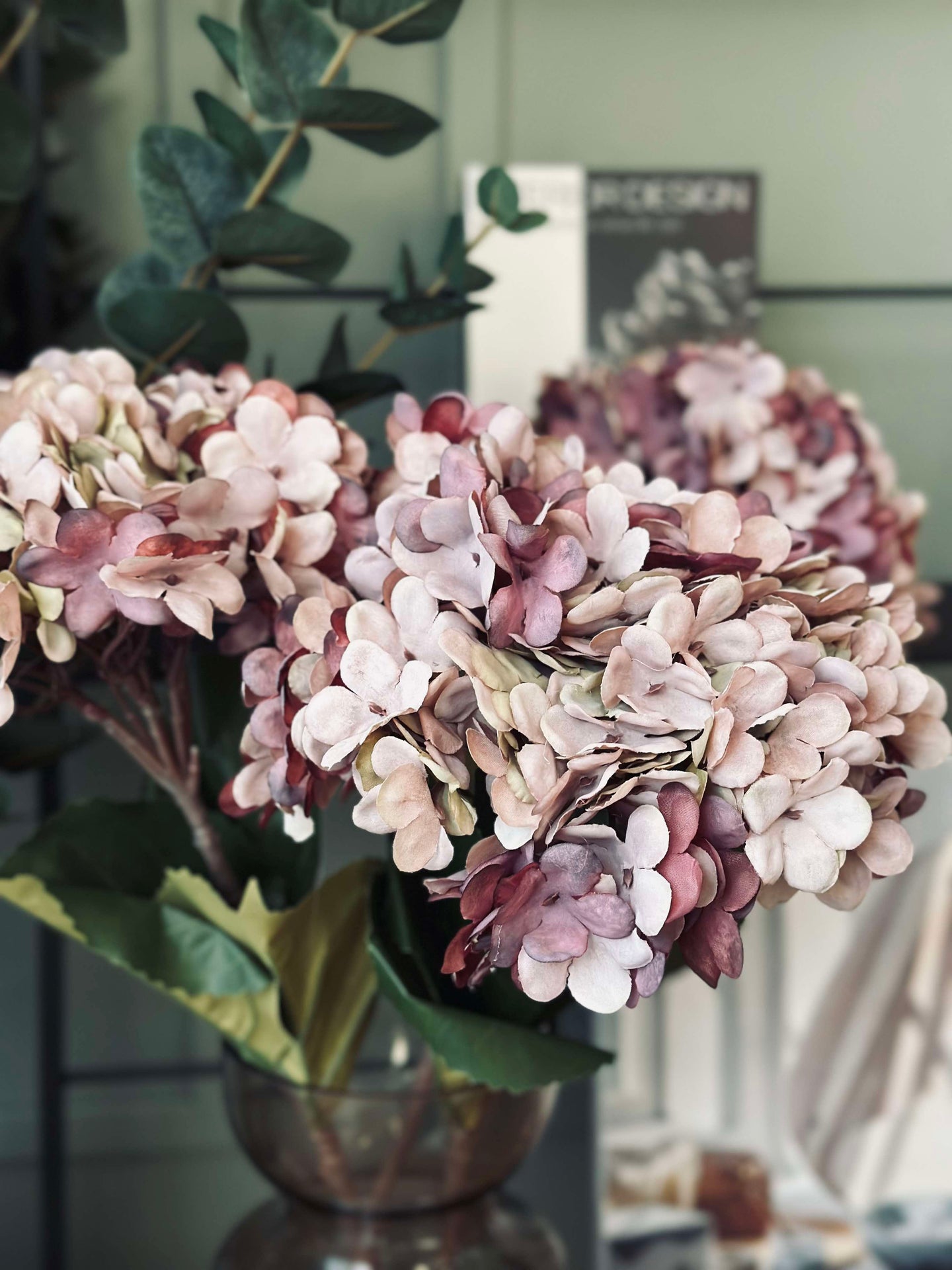 Hortensie Old Rose
