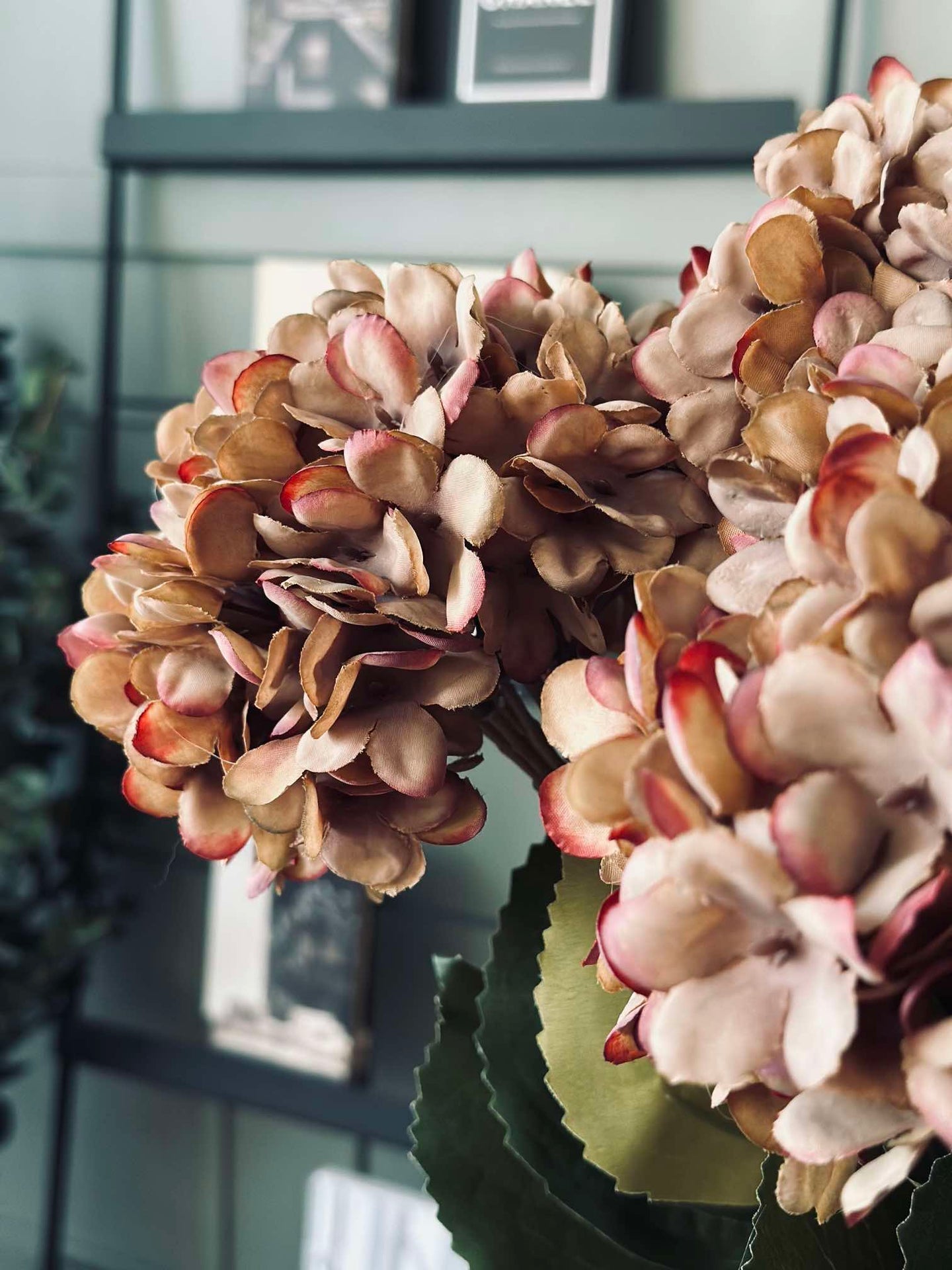 Hortensie - Gebrannte Farben