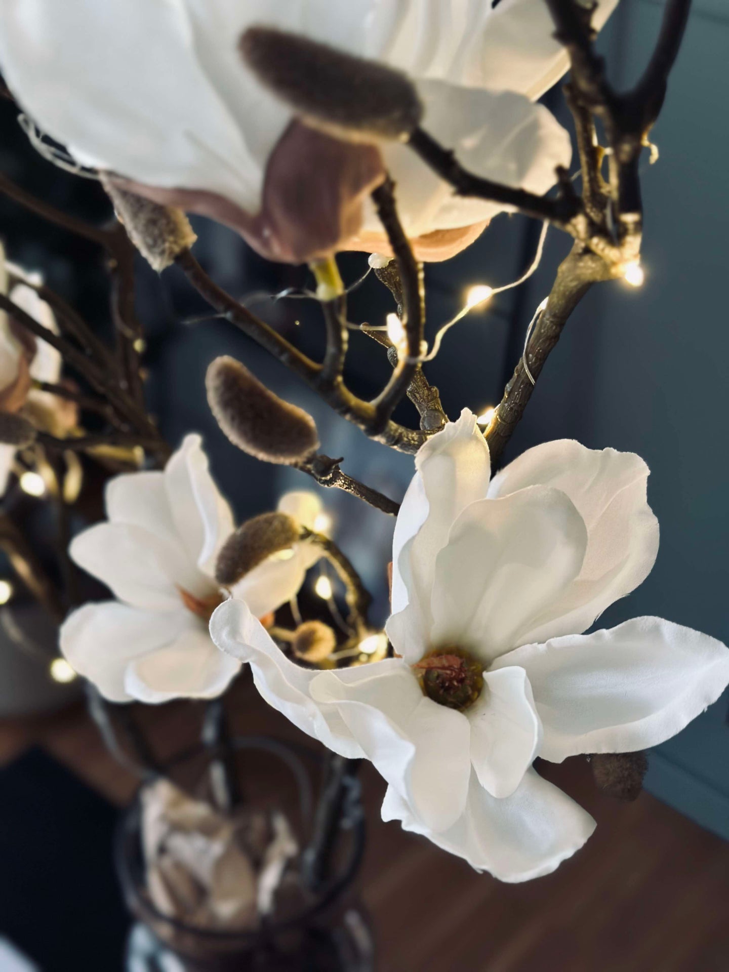 Magnolienzweig mit Licht