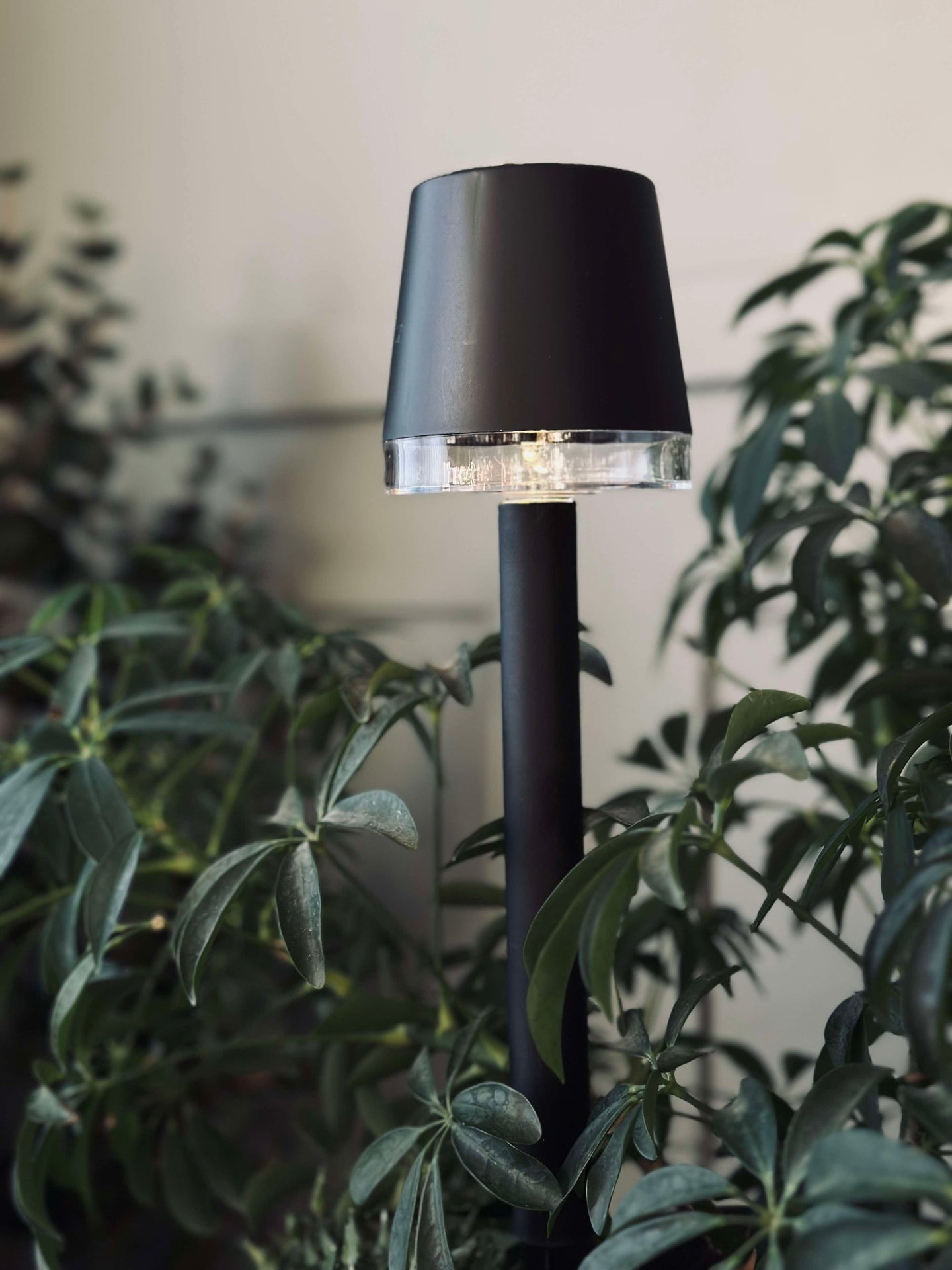 Beetlampe KIA solar