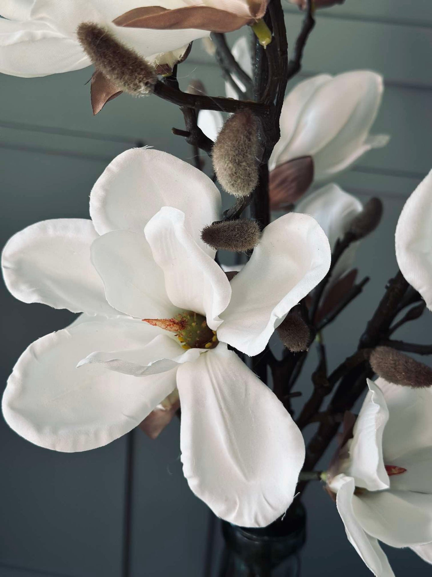 Magnolienzweig - 92 cm