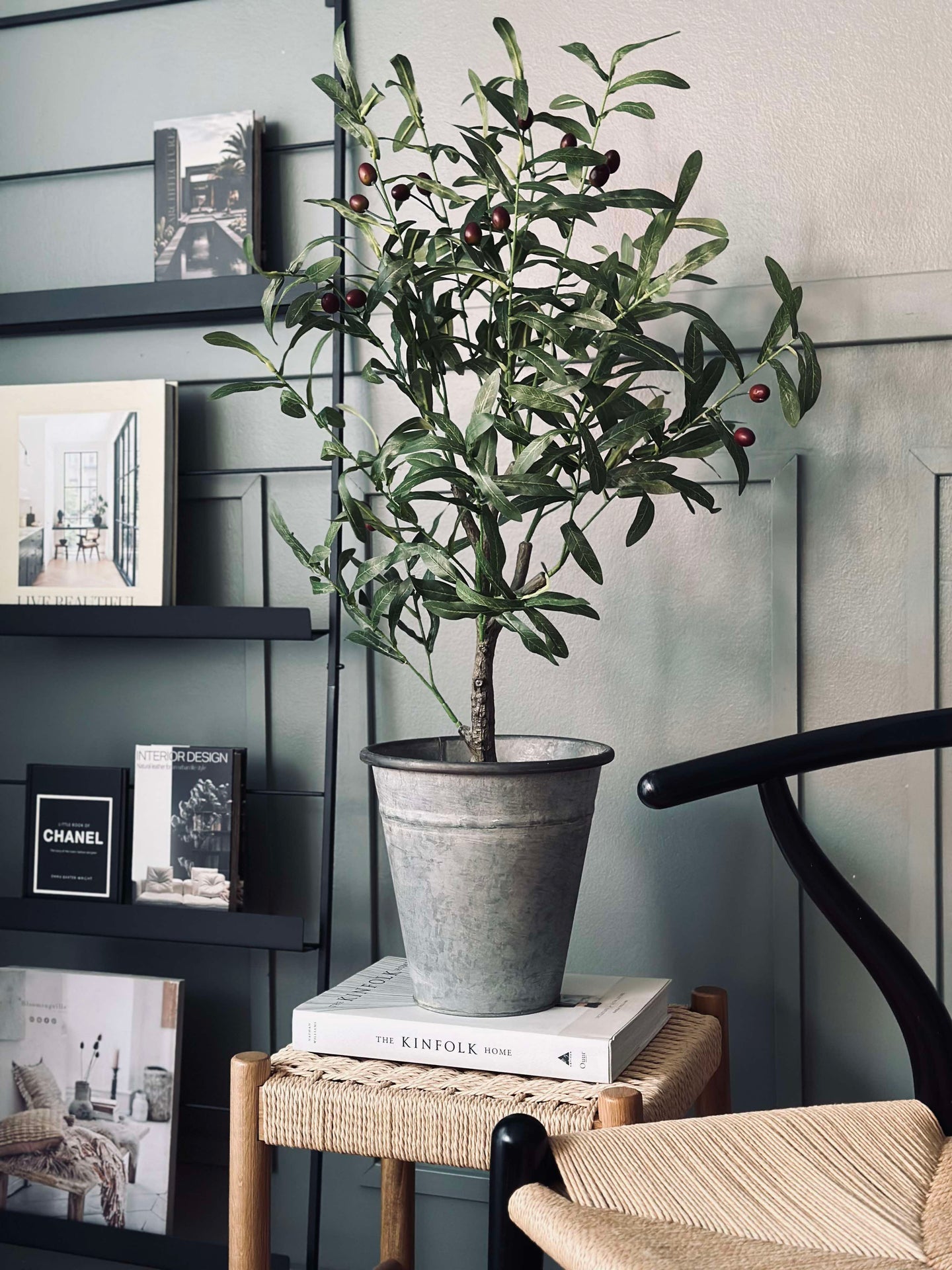 Olivenbaum 85 cm