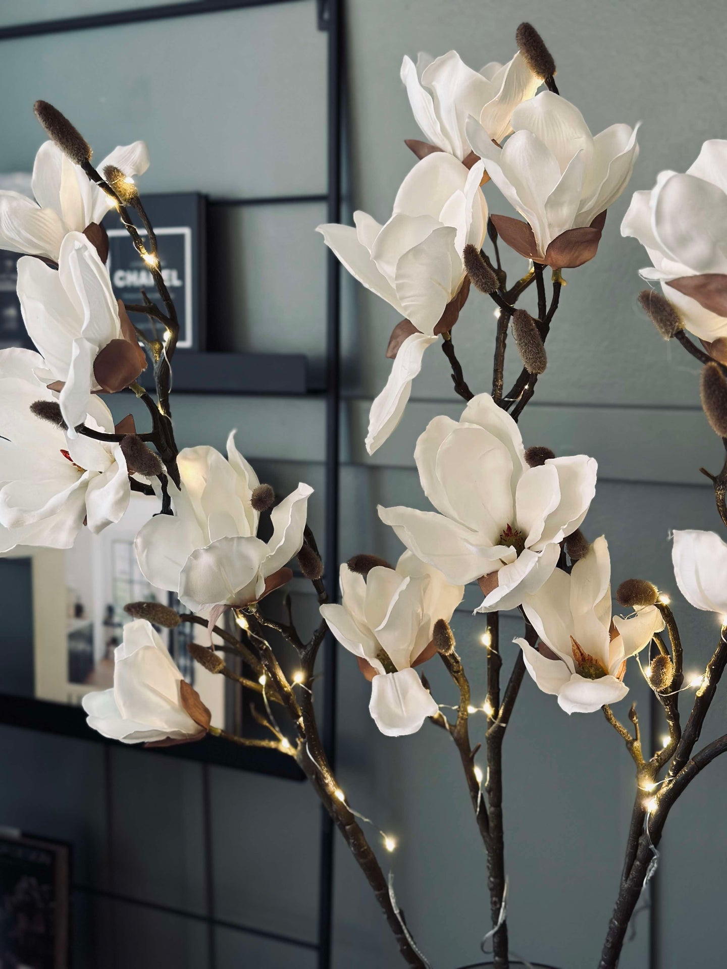 Magnolienzweig mit Licht