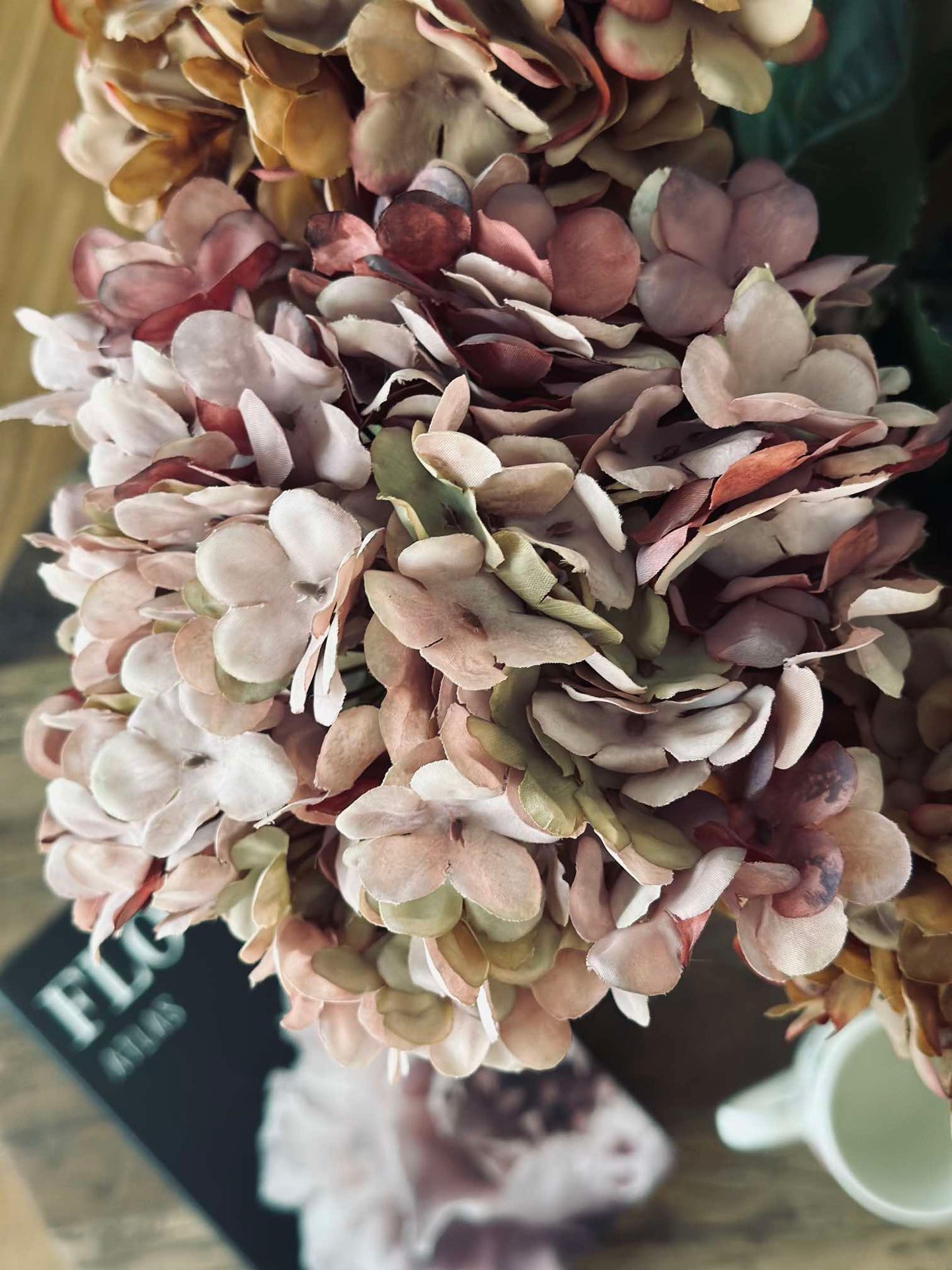 Hortensie Old Rose