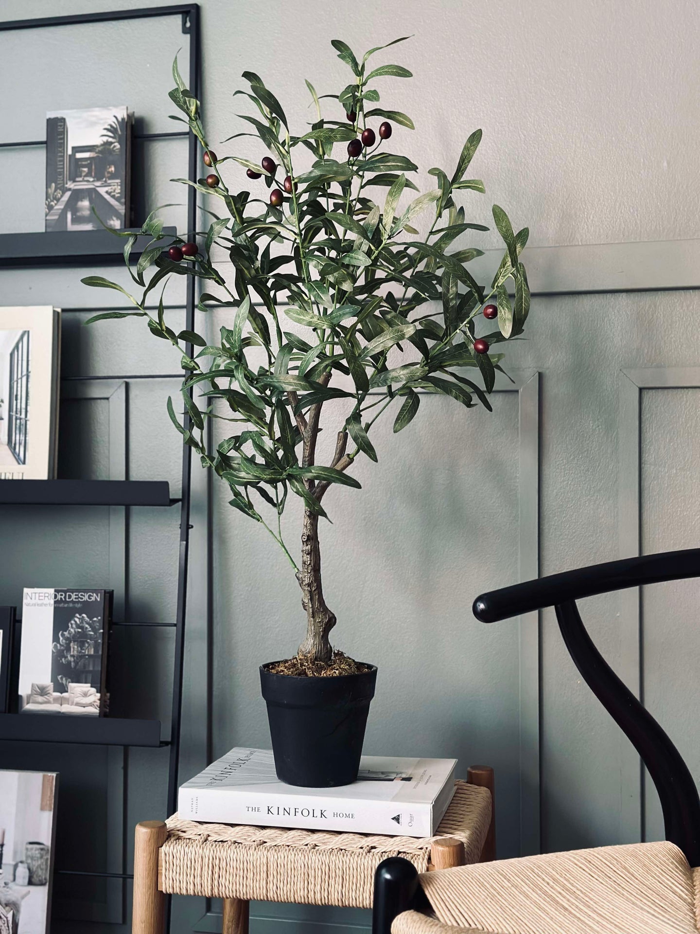 Olivenbaum 85 cm
