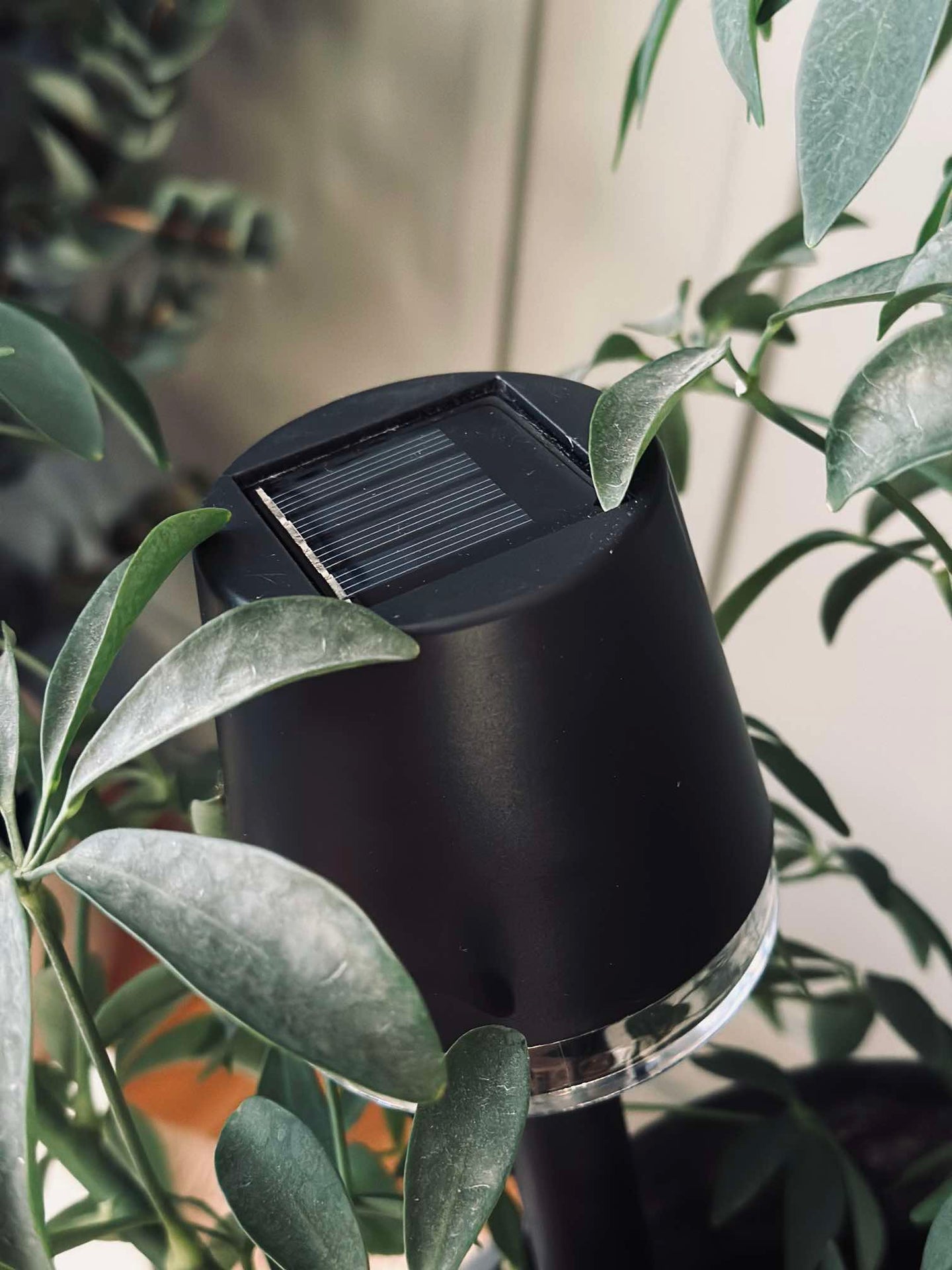 Beetlampe KIA solar