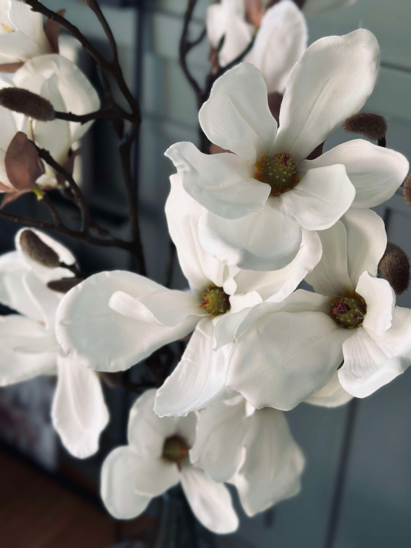 Magnolienzweig - 92 cm