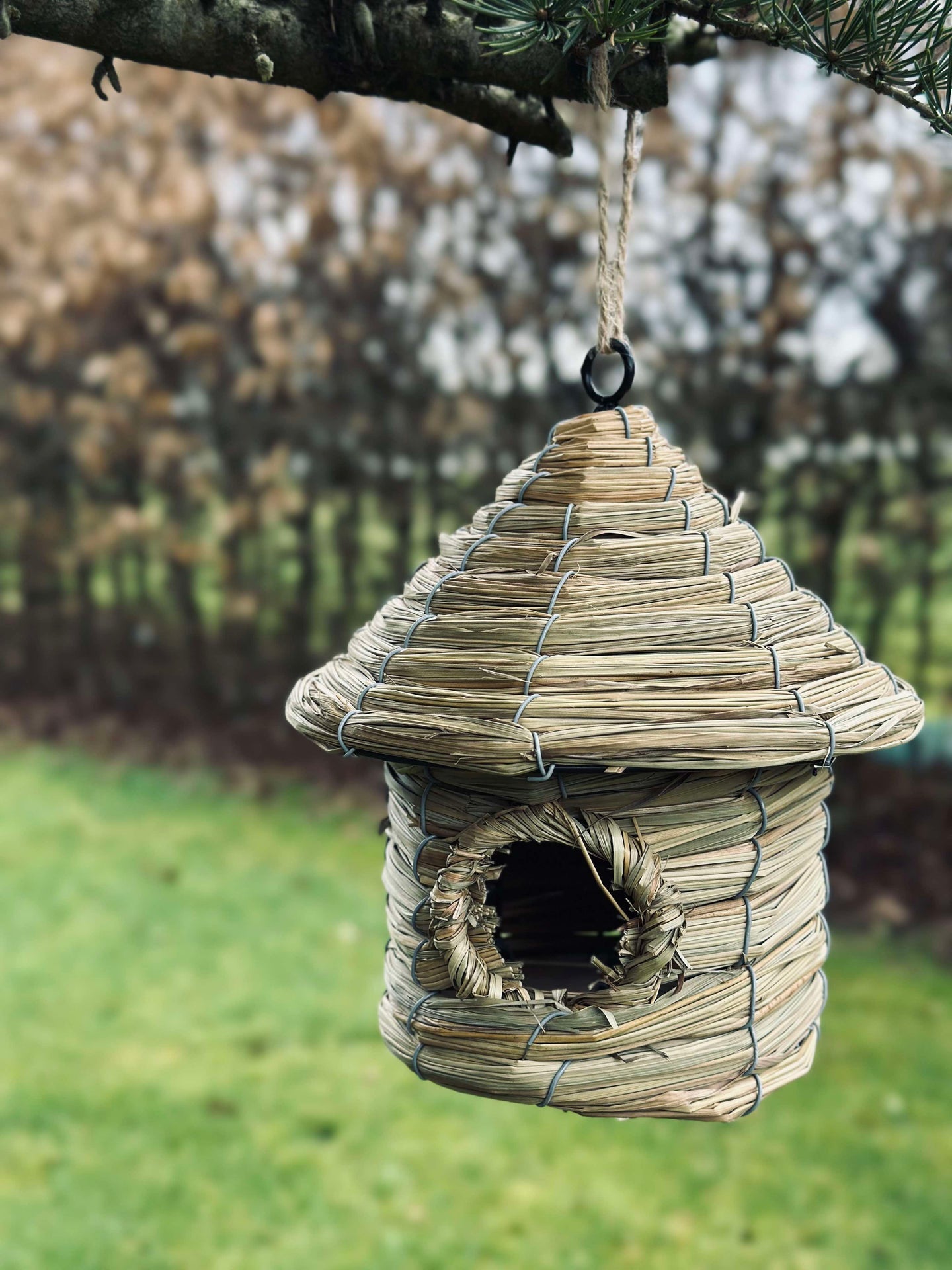 Vogelhaus mit Aufhängung