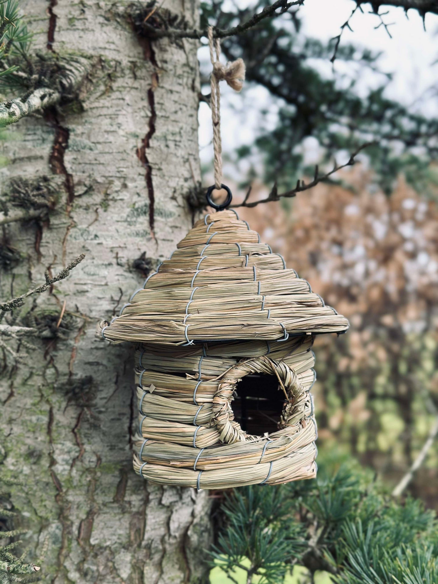 Vogelhaus mit Aufhängung