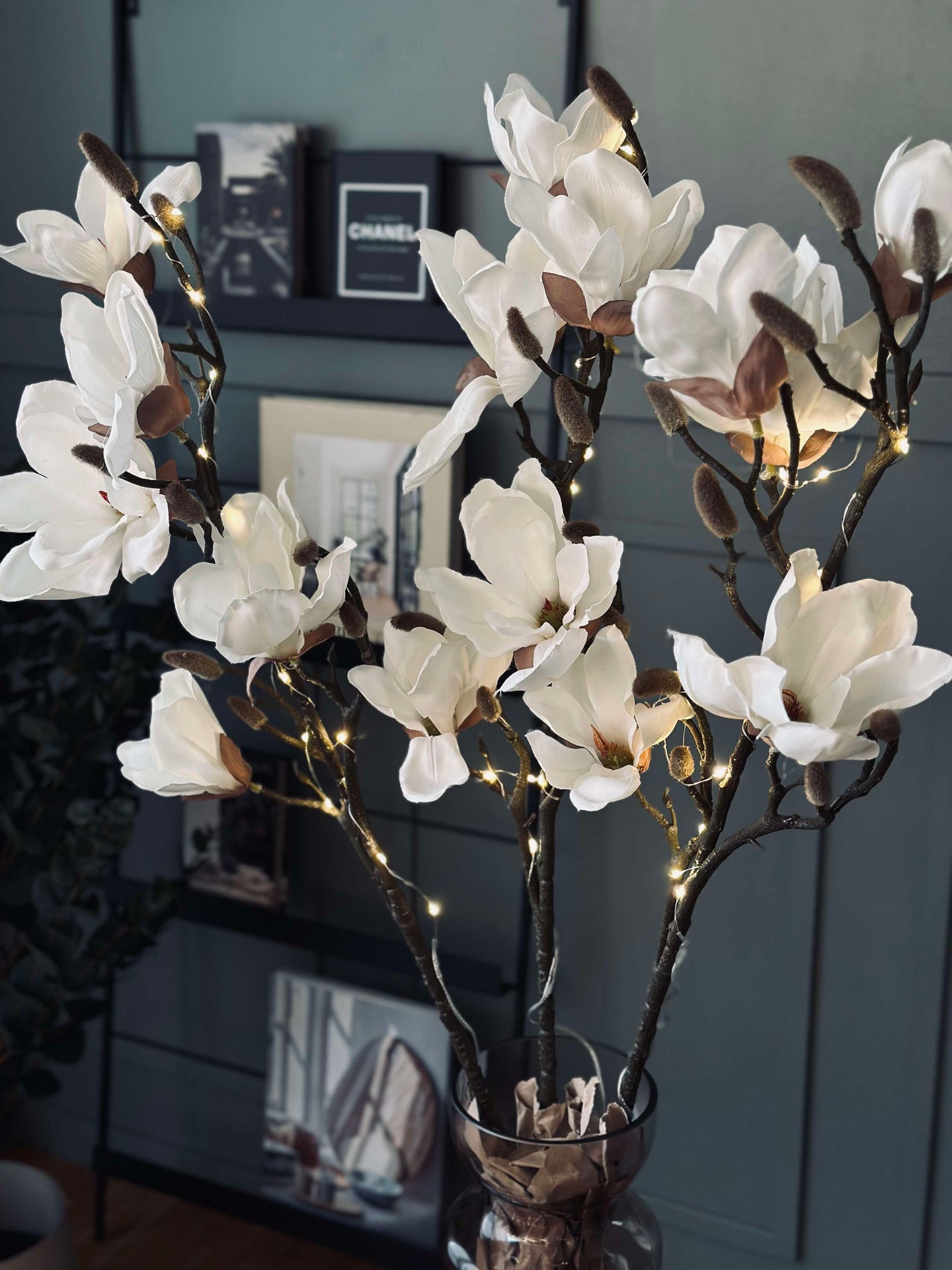 Magnolienzweig mit Licht