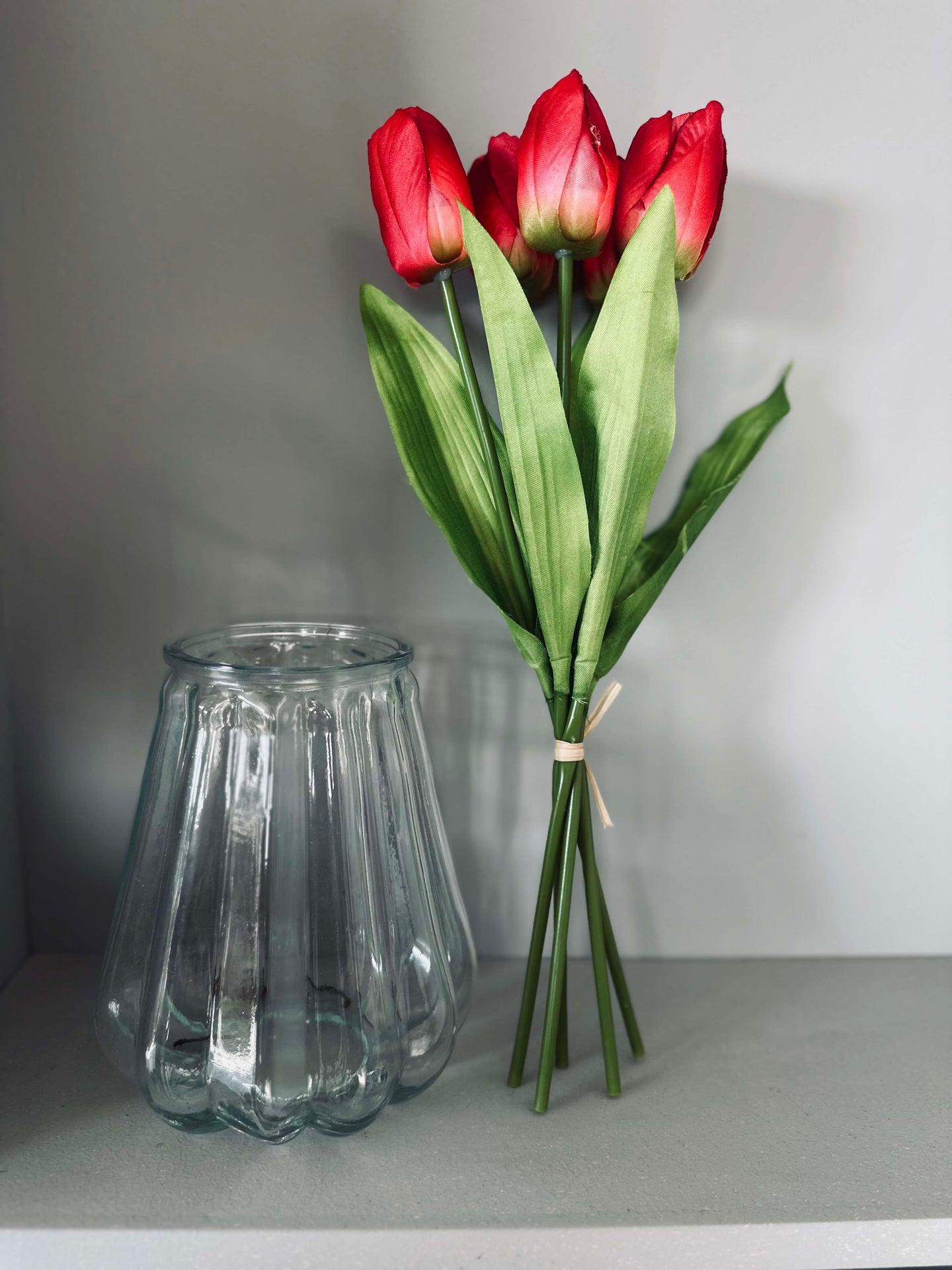 Tulpen Bordeaux