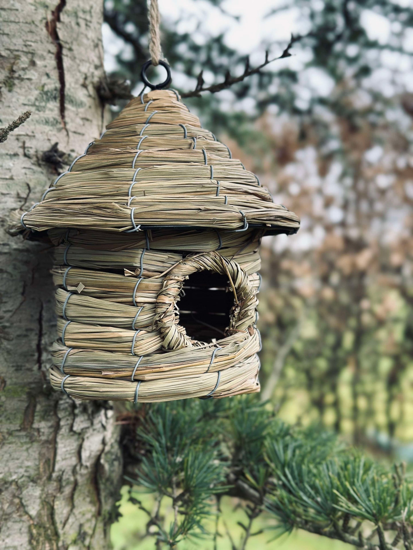 Vogelhaus mit Aufhängung