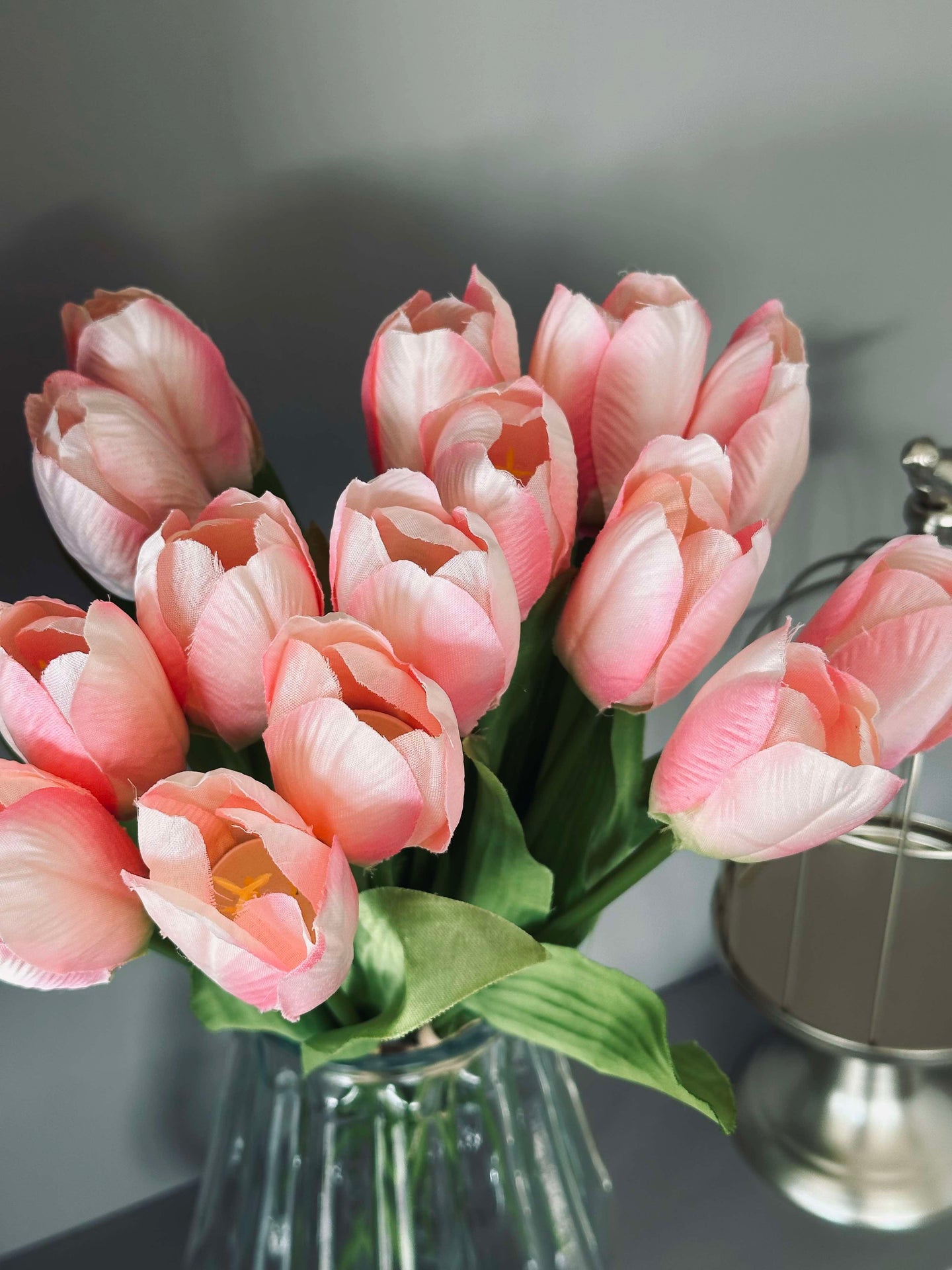 Tulpen Pink