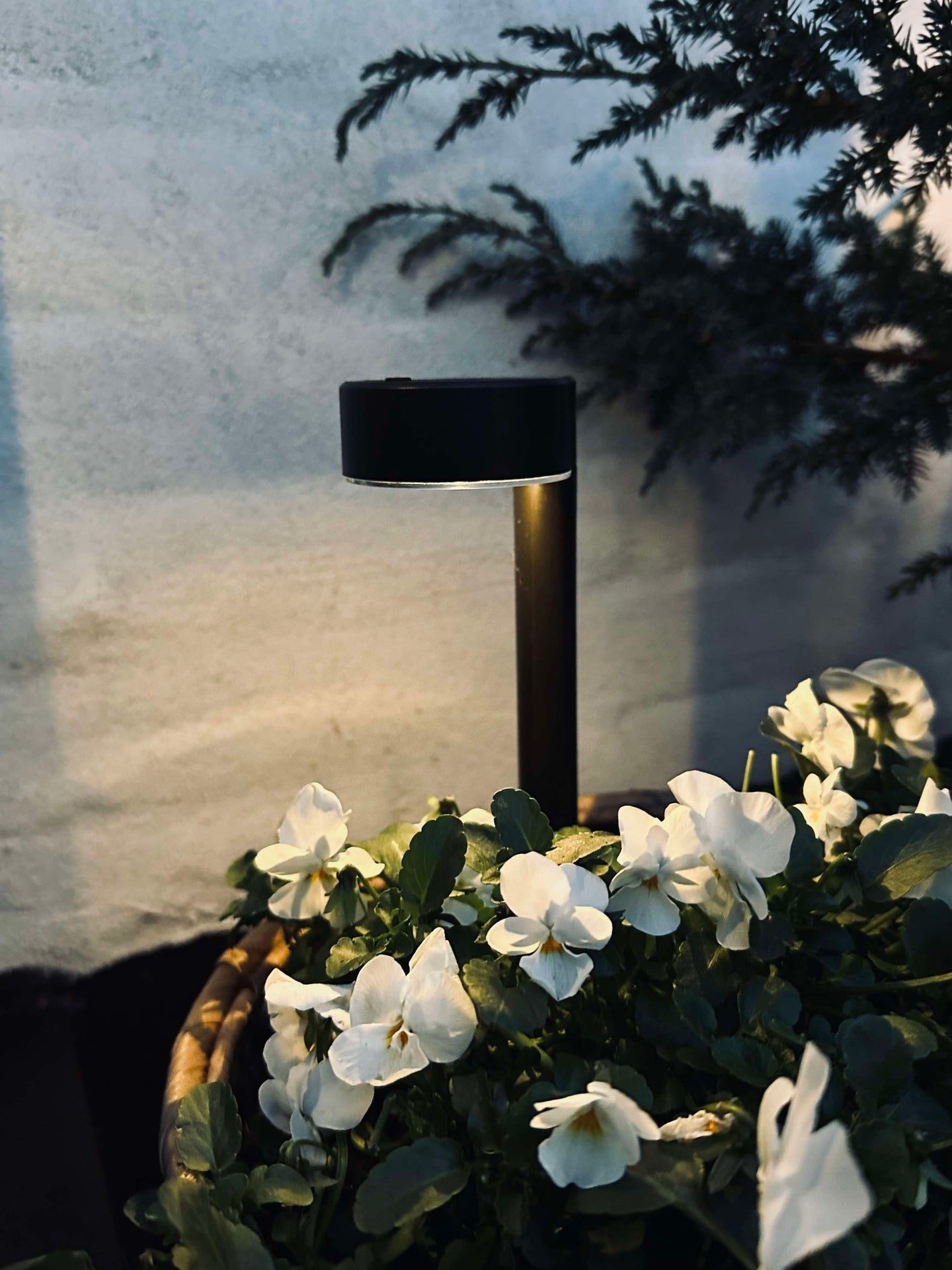 Gartenlampe Nancy mit Solar – Set mit 4 Stück.