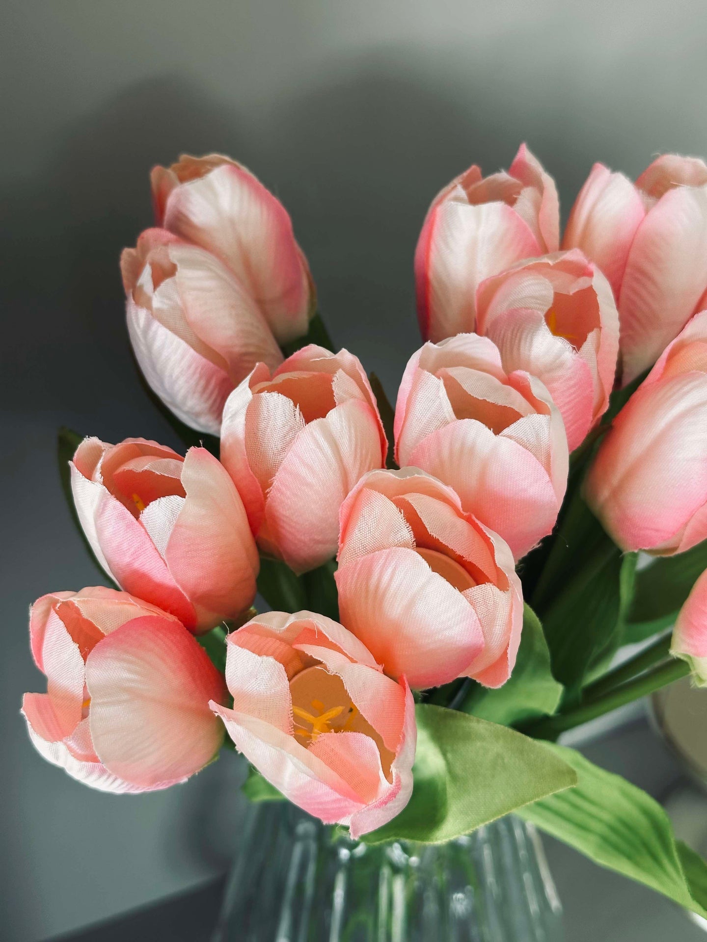 Tulpen Pink
