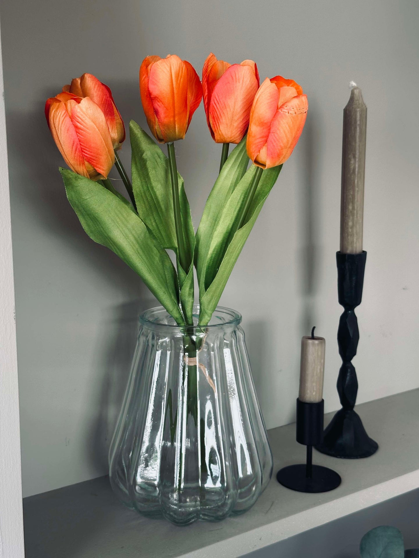 Tulpen Orange