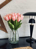 Tulpen Pink