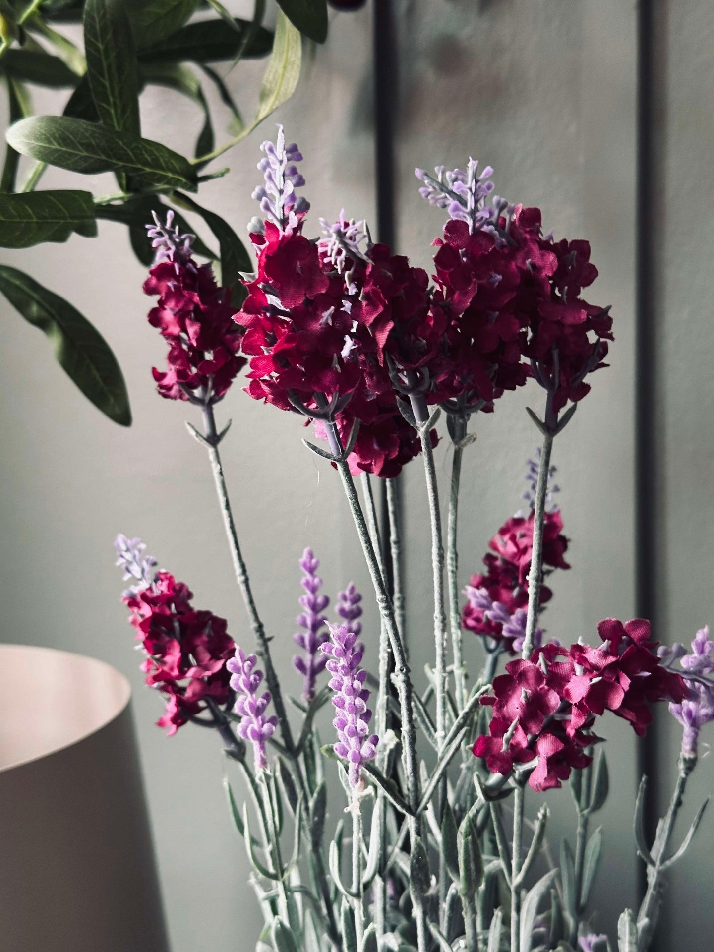 Lavendel 40cm - Himbeere