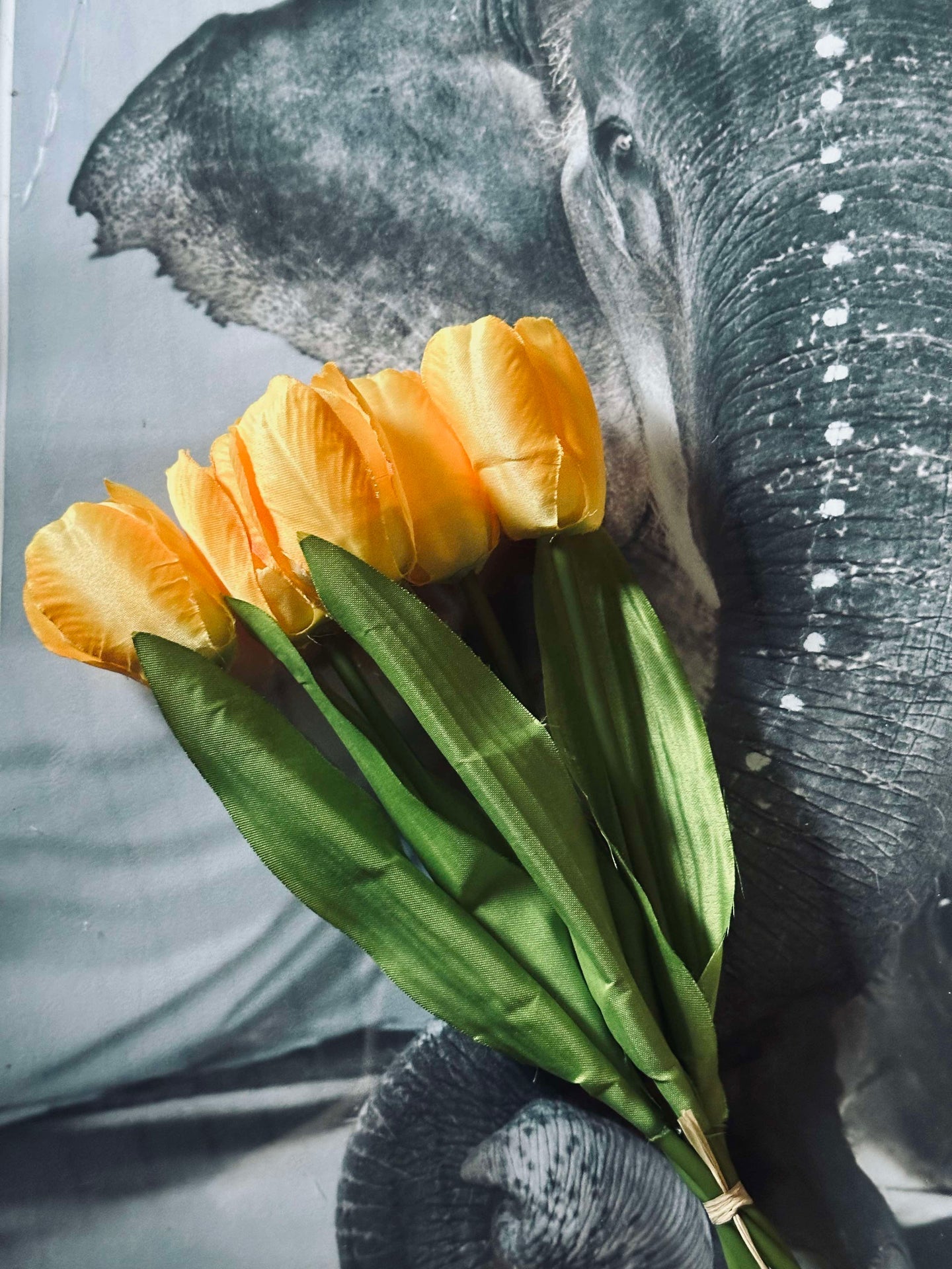 Gelbe Tulpen
