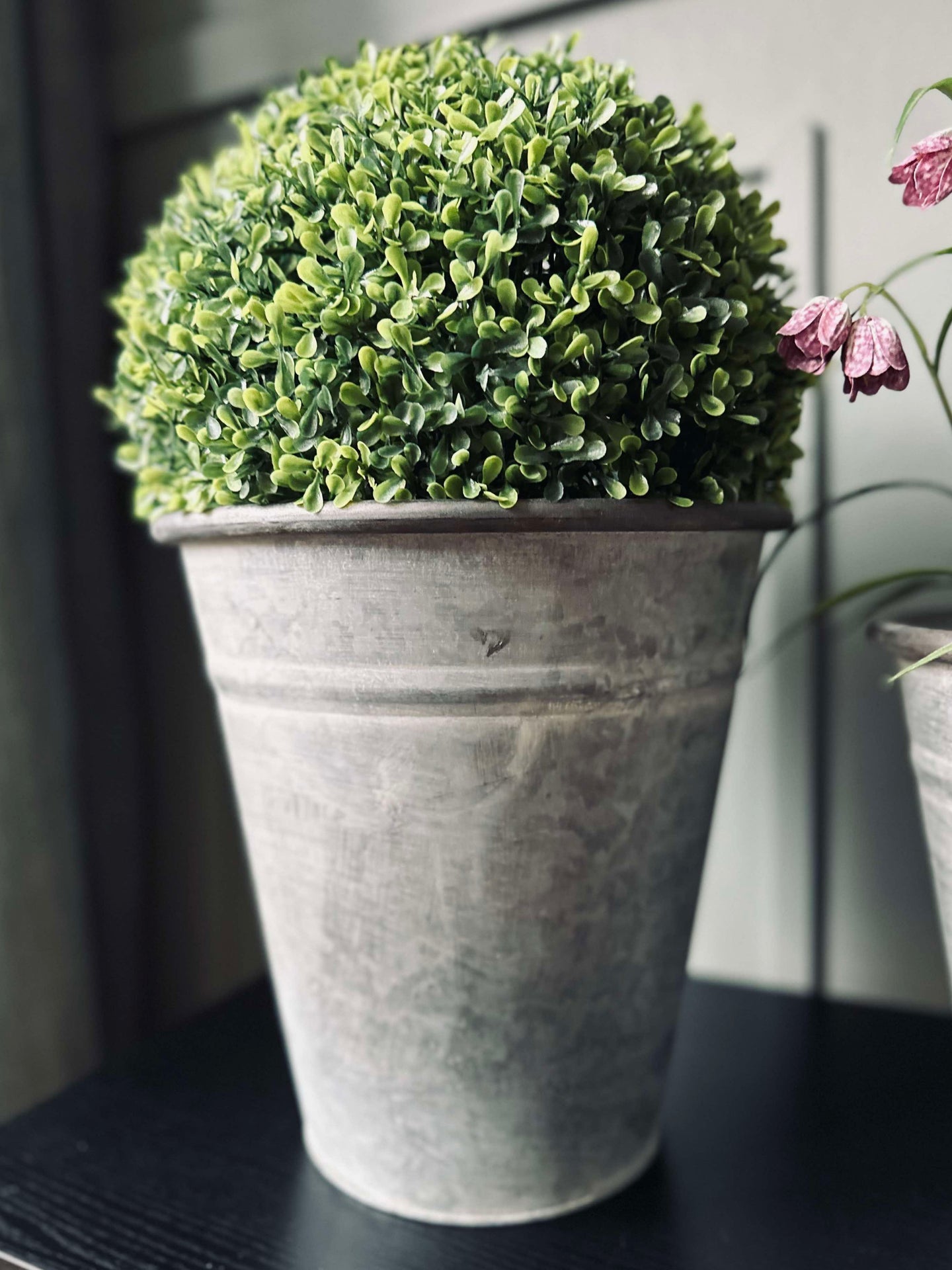 Buchsbaumkugel 30cm