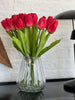 Tulpen Bordeaux