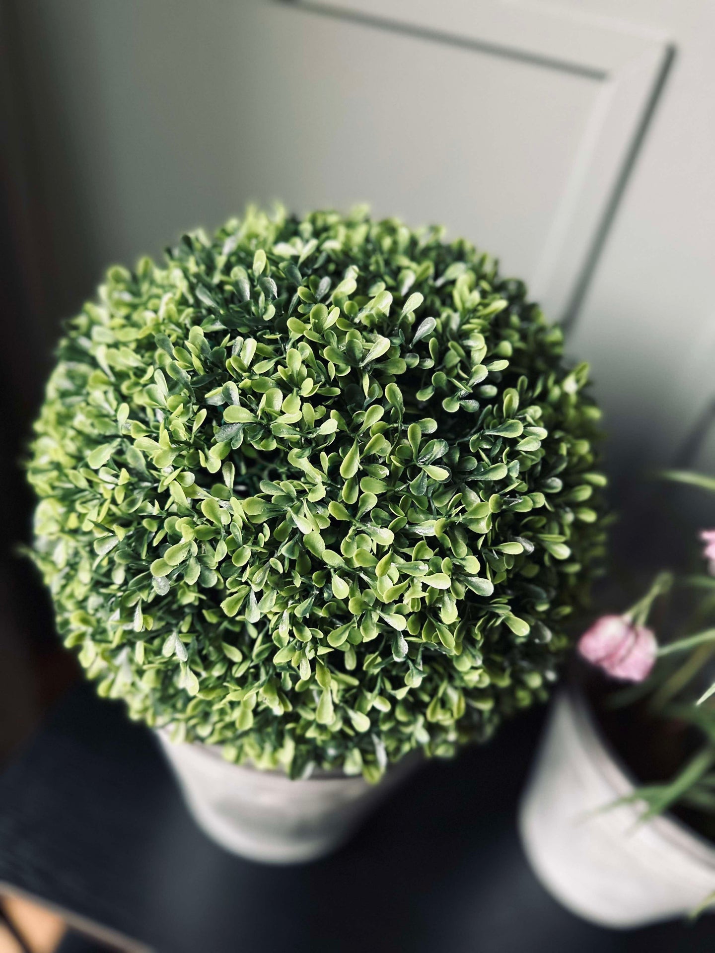 Buchsbaumkugel 30cm