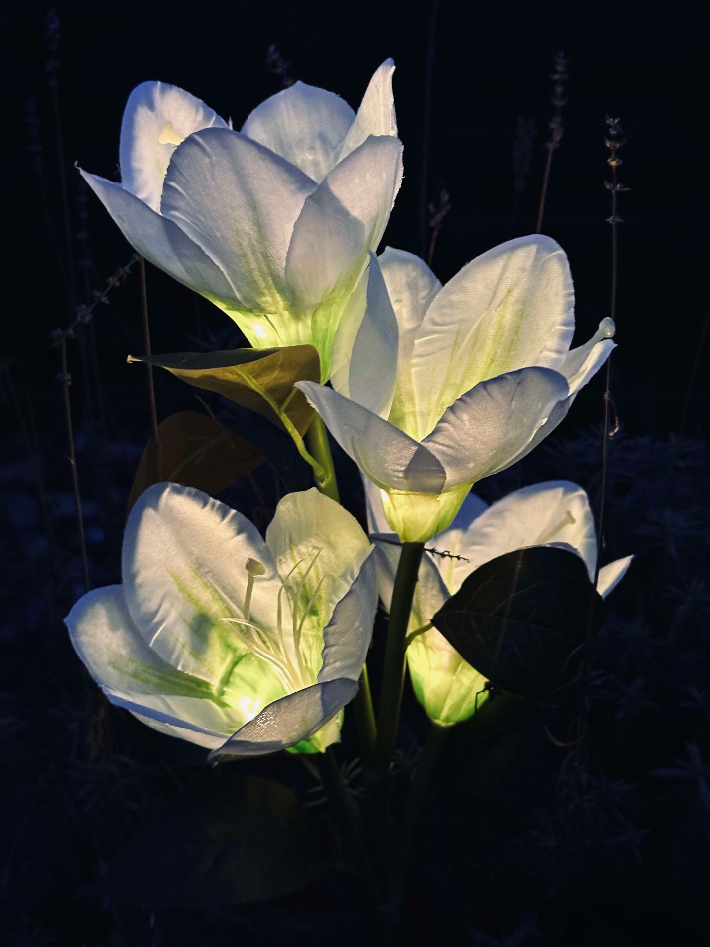 Magnolie mit Solarzellen - Weiß